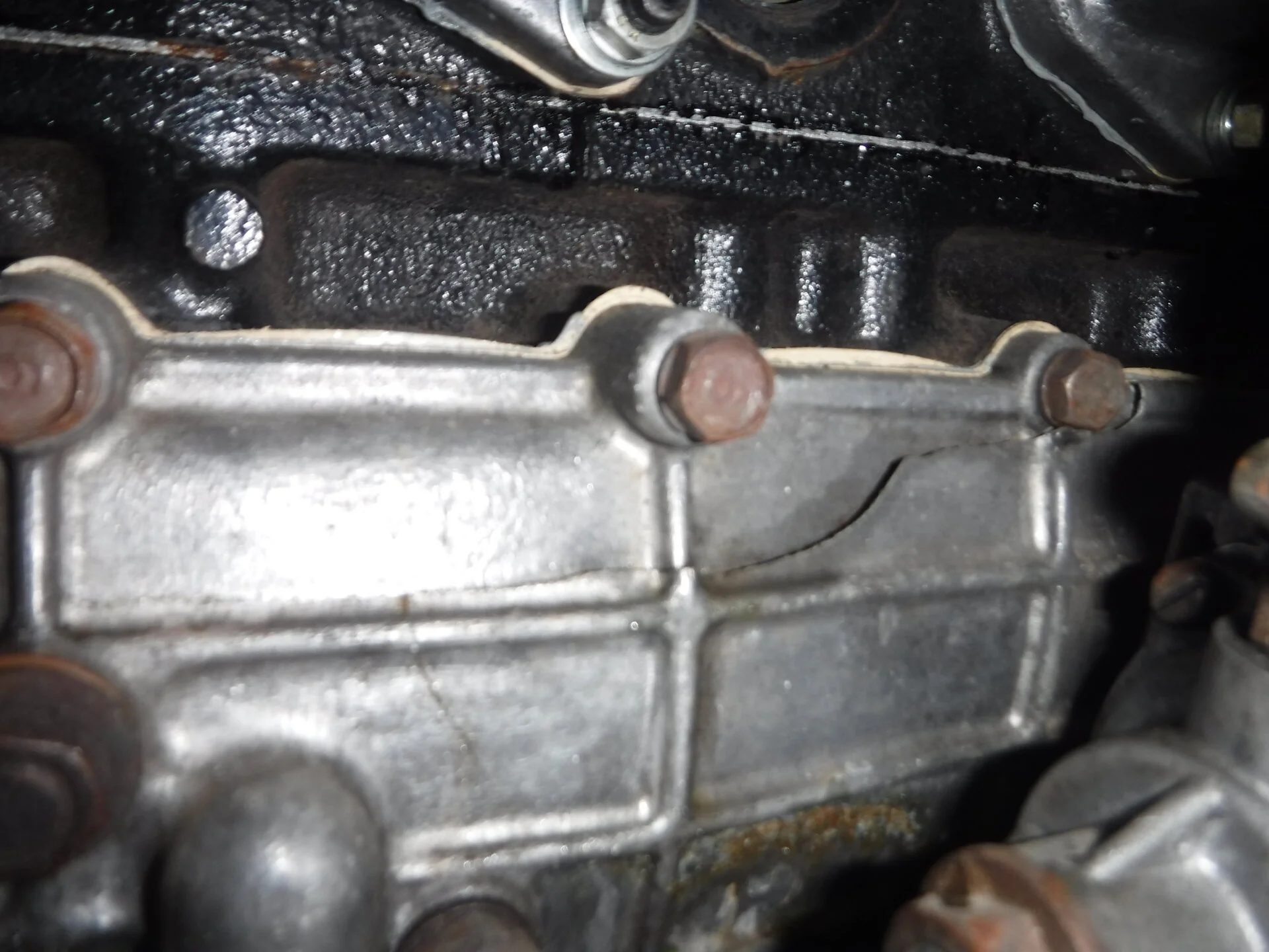 DSCF5425.webp