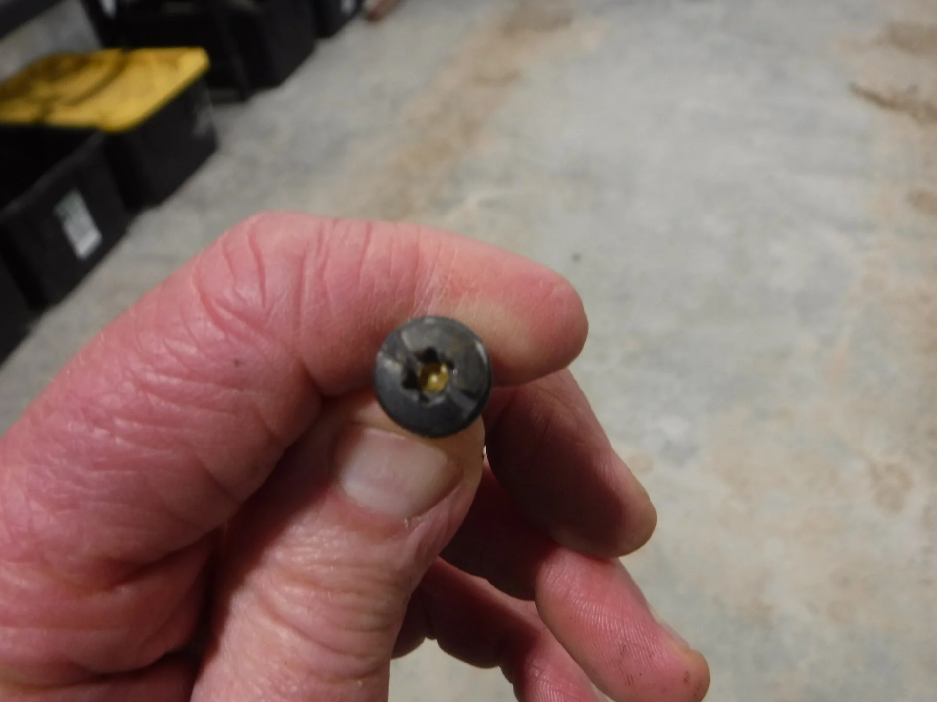 DSCF5645.webp
