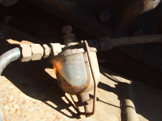 DSCF5765.webp