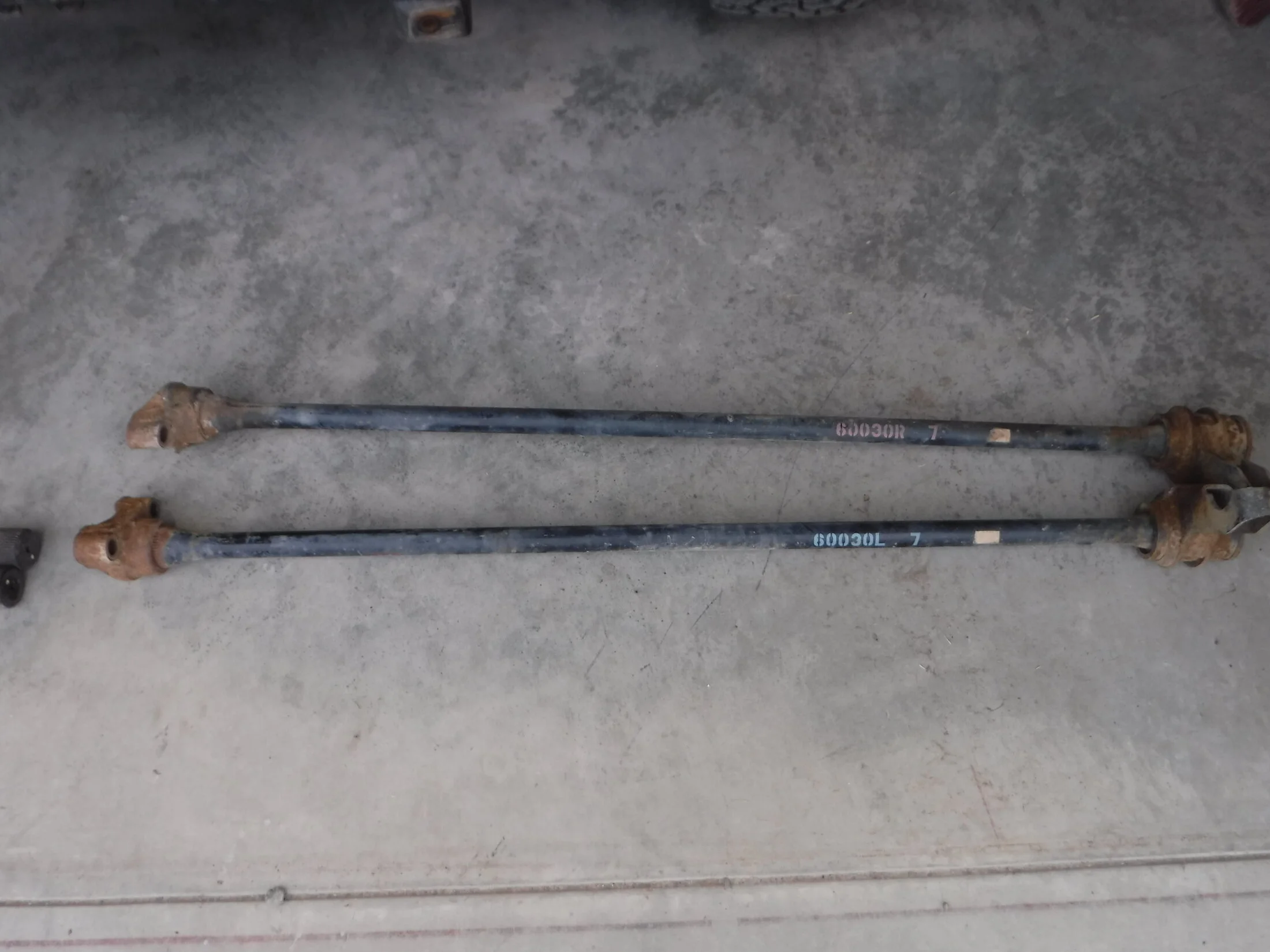 DSCF5772.webp