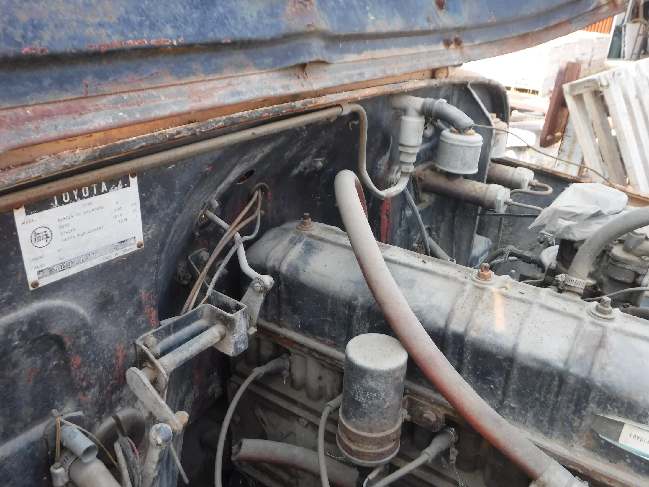 DSCF5854.webp