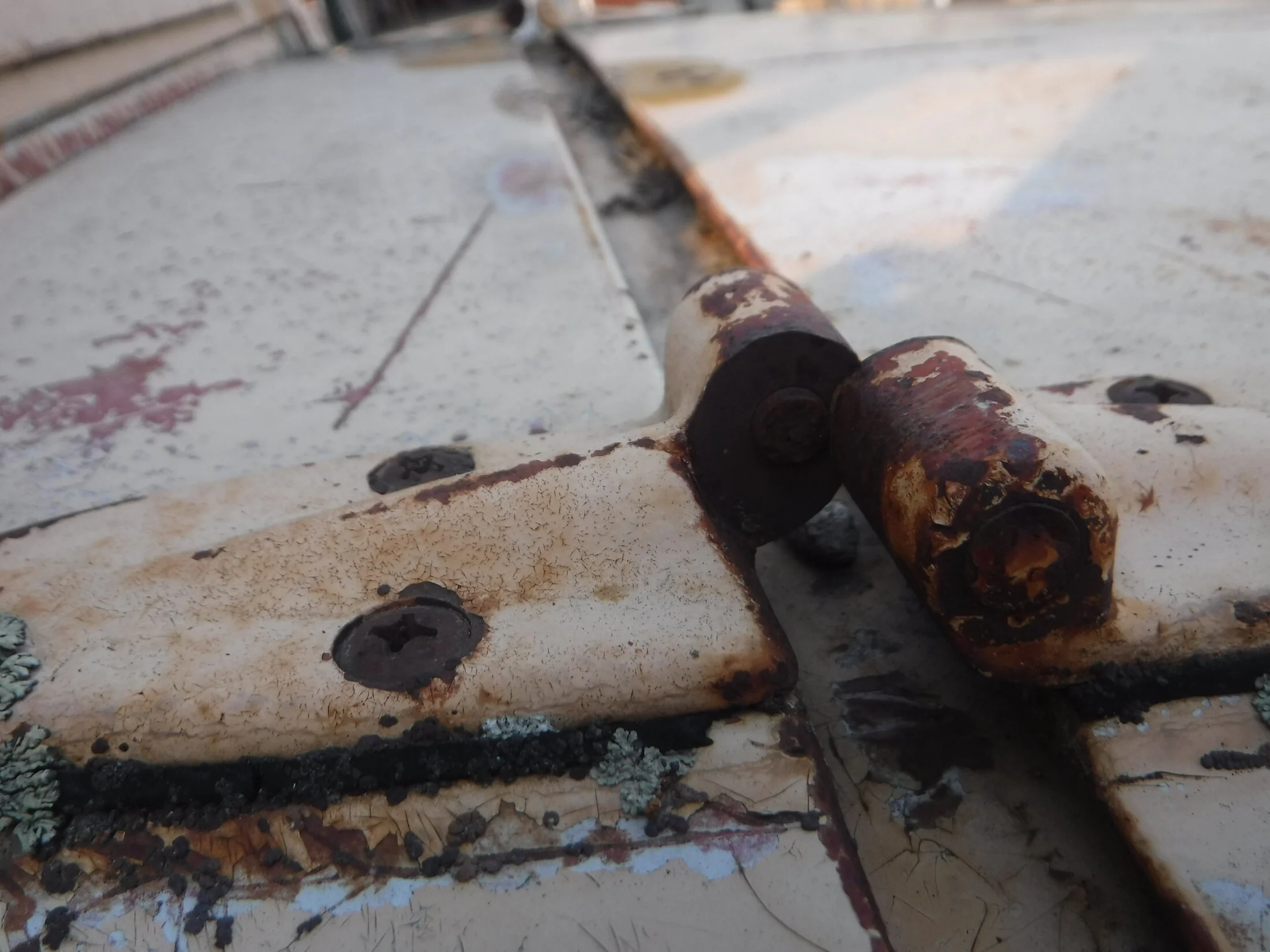 DSCF5856.webp