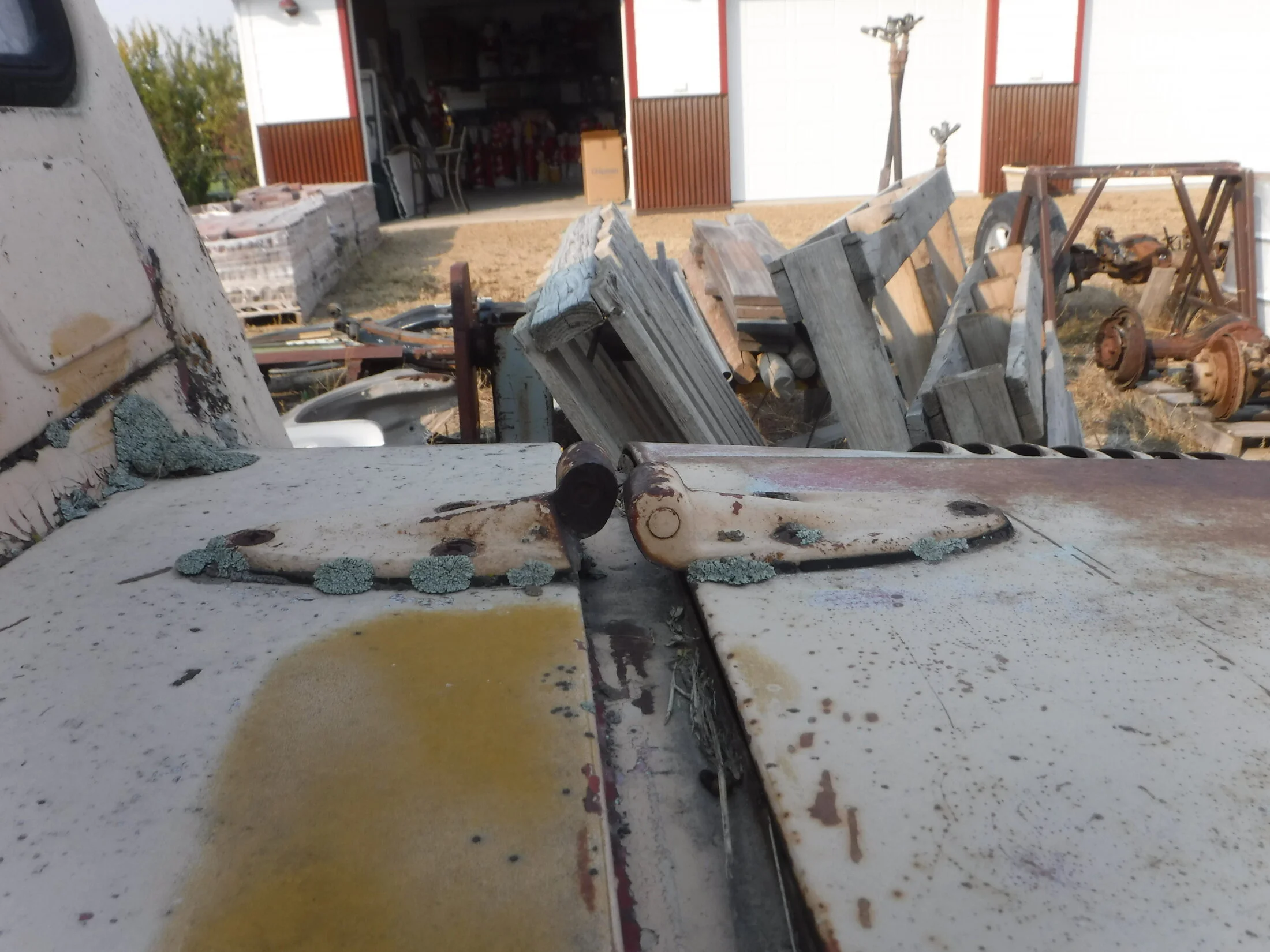 DSCF5857.webp