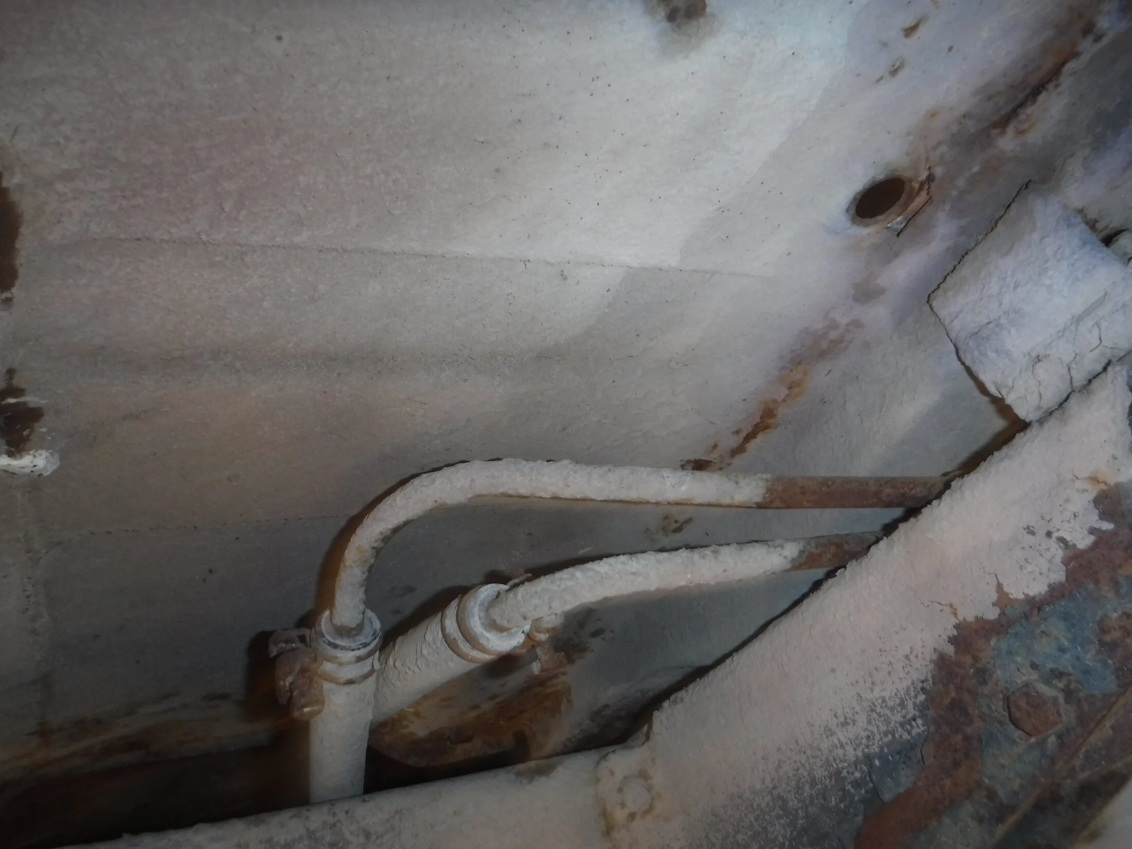 DSCF5861.webp