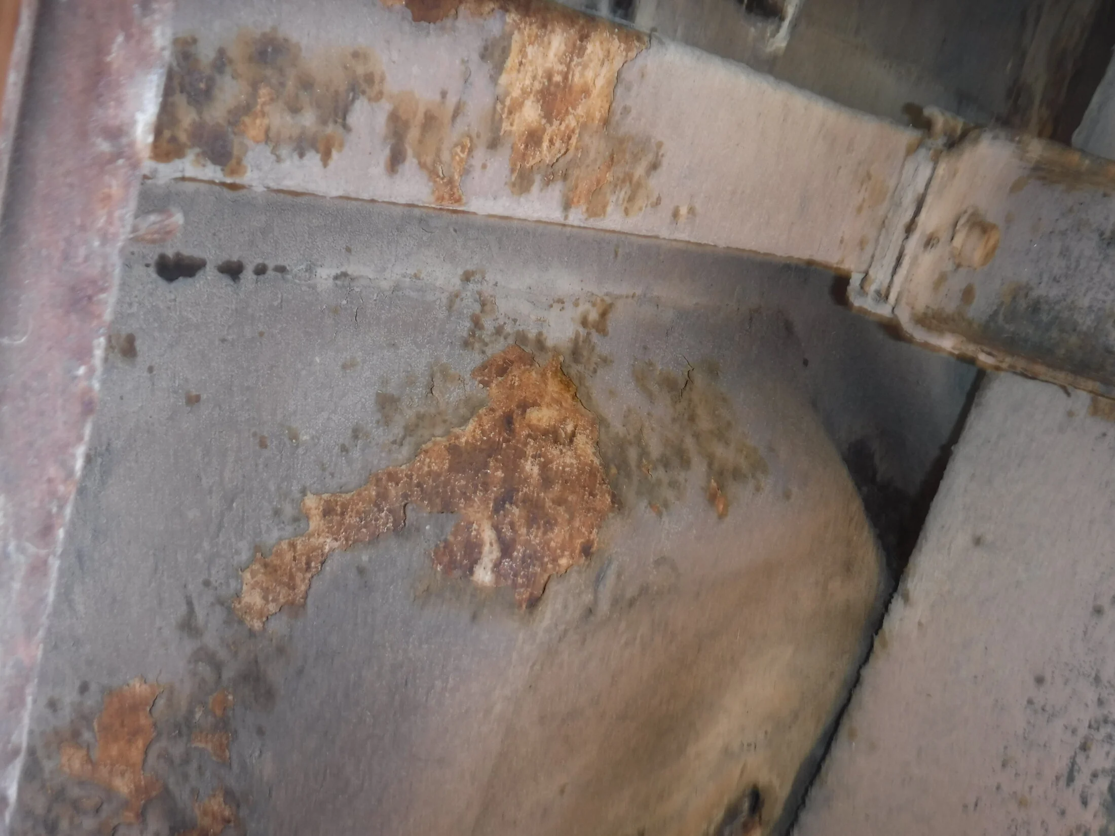 DSCF5862.webp