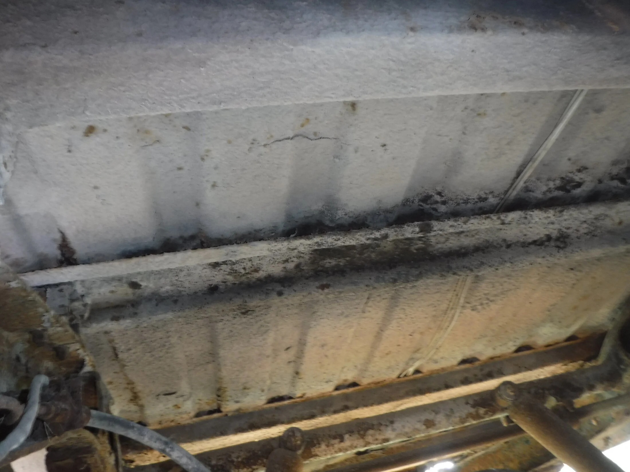 DSCF5865.webp