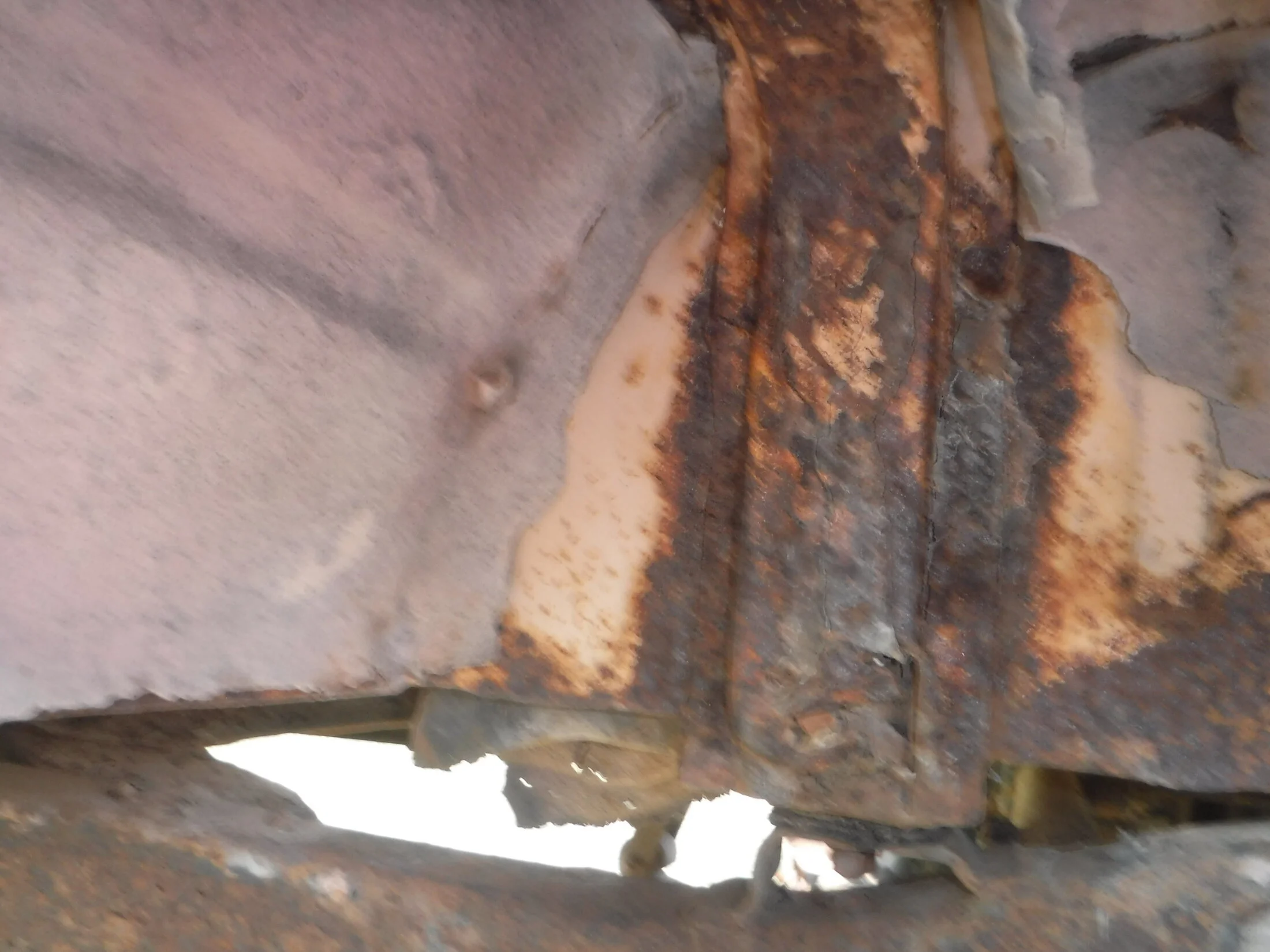 DSCF5867.webp