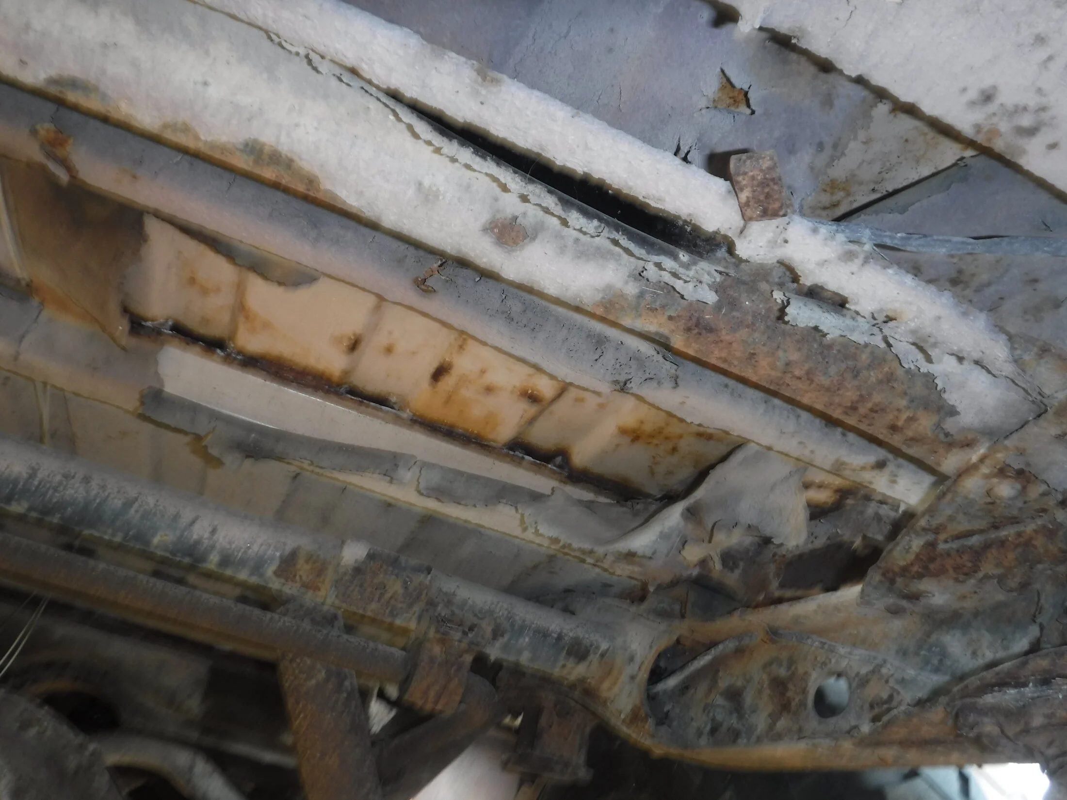 DSCF5868.webp