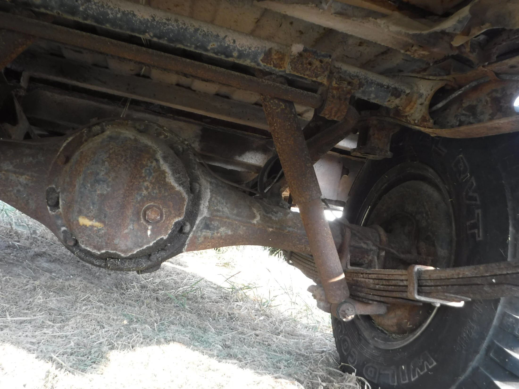 DSCF5869.webp