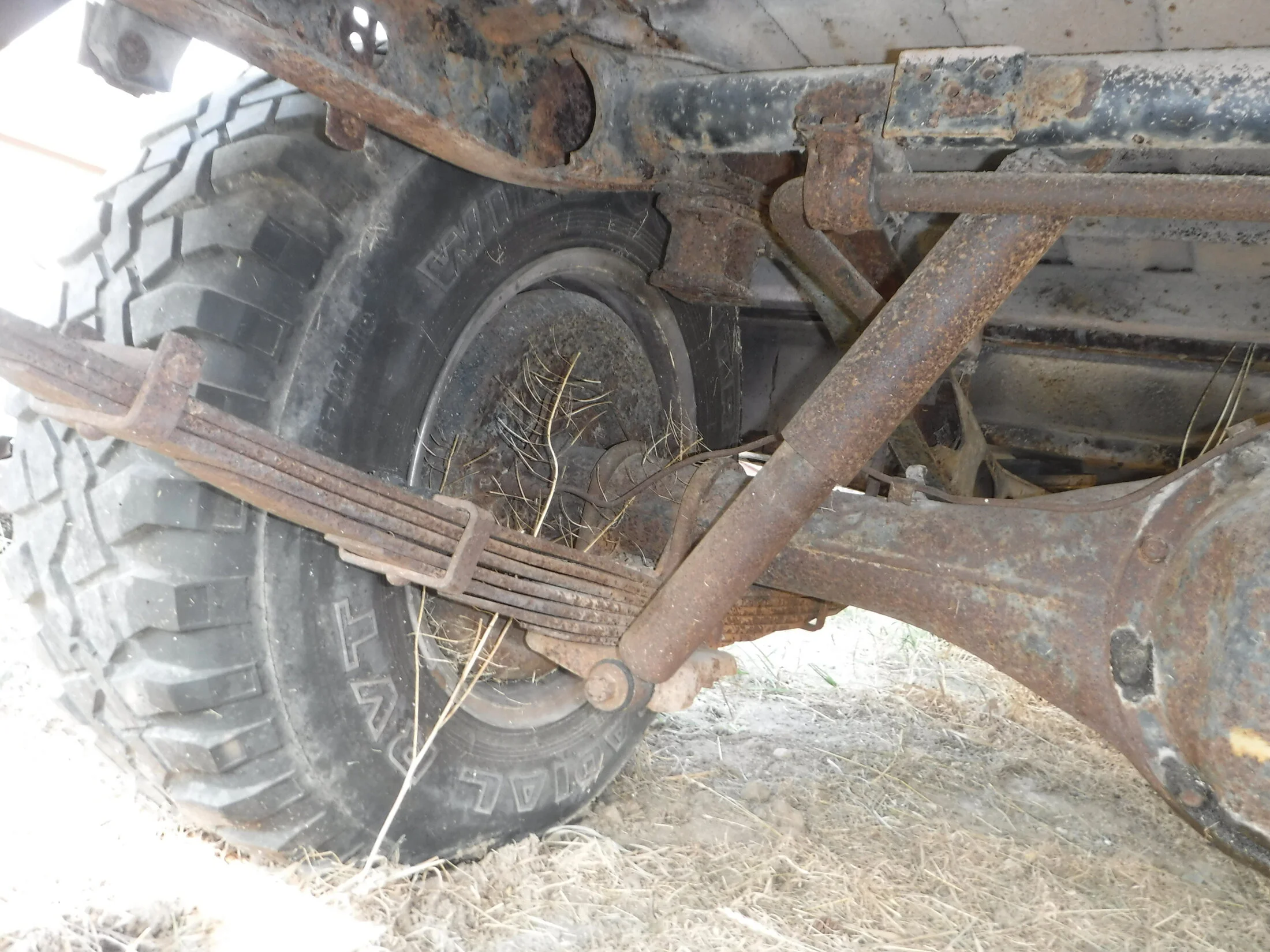 DSCF5870.webp