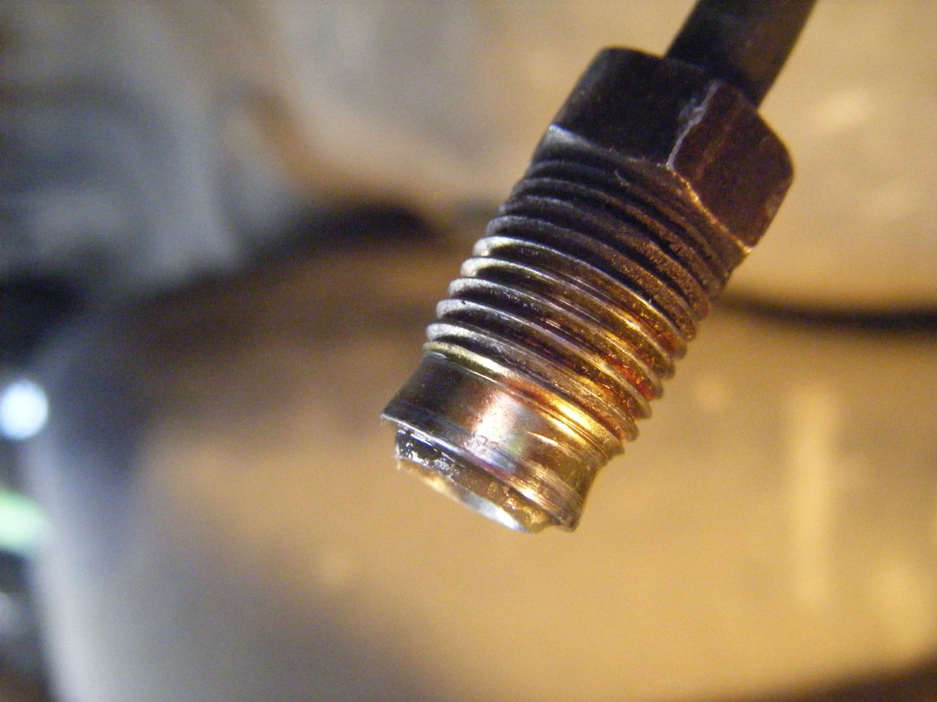 DSCF5871.webp