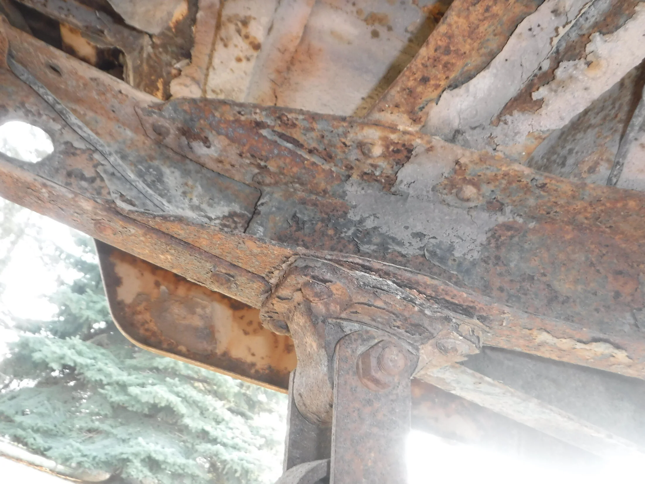 DSCF5872.webp