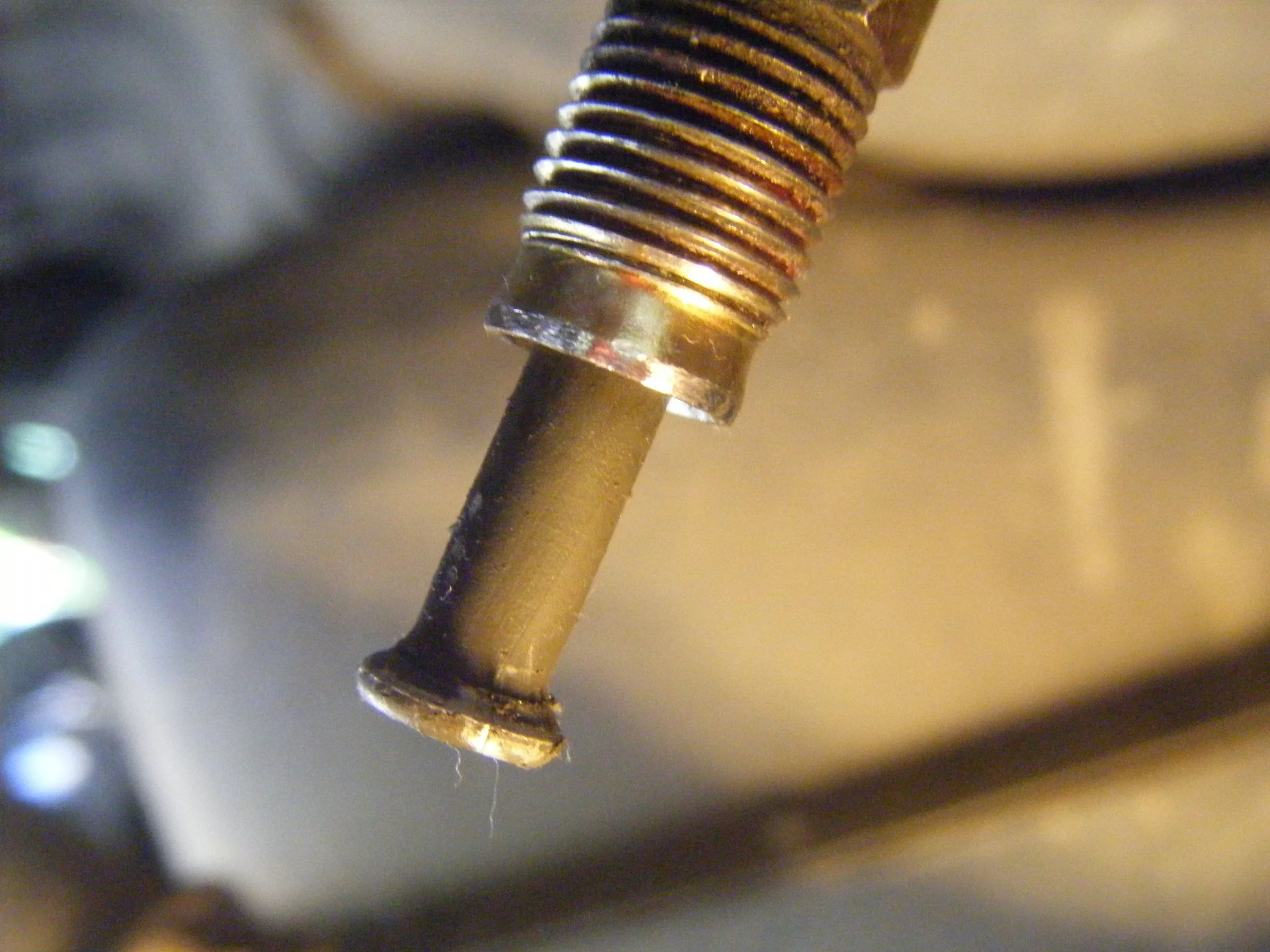 DSCF5873.webp