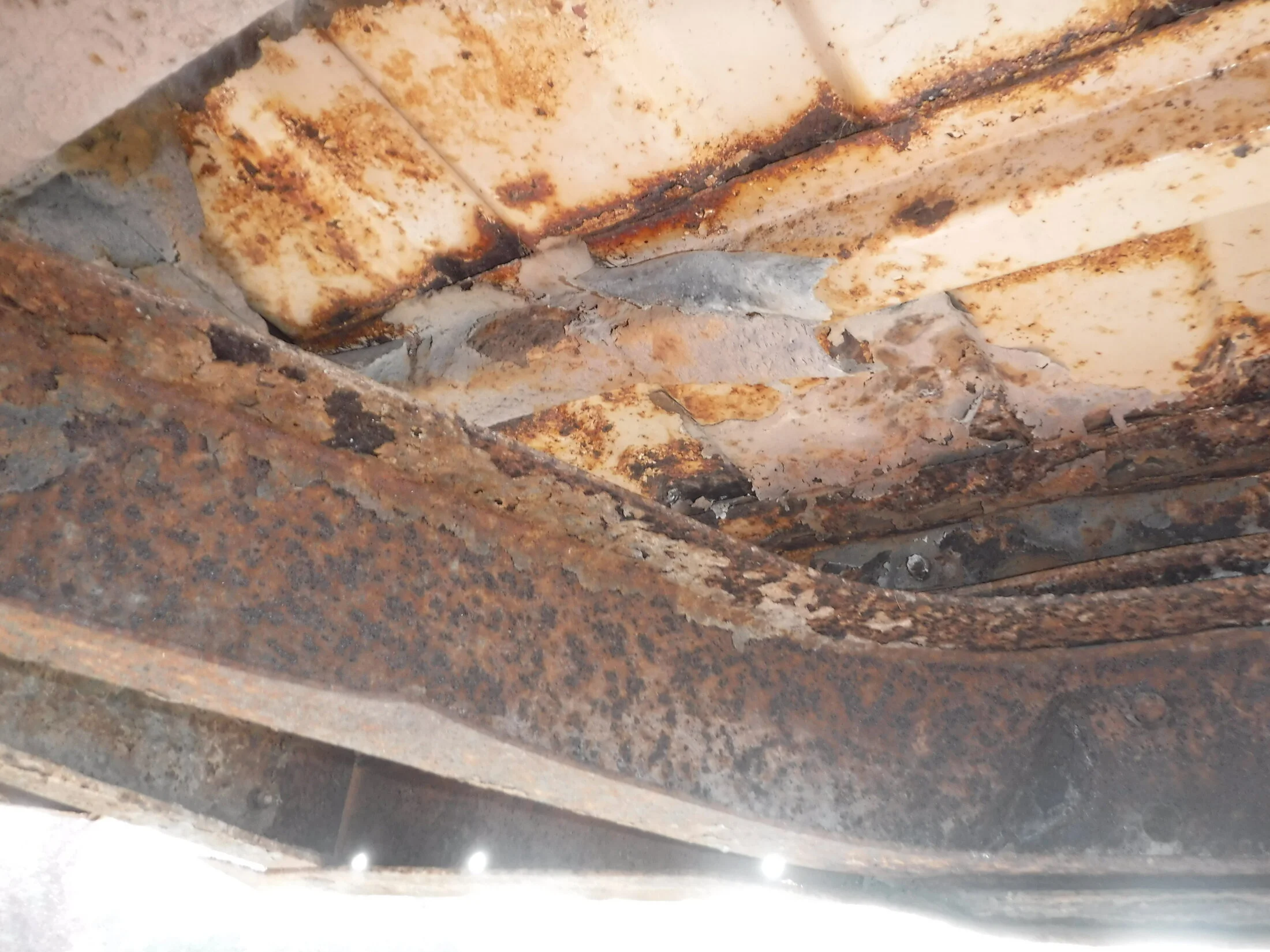 DSCF5873.webp