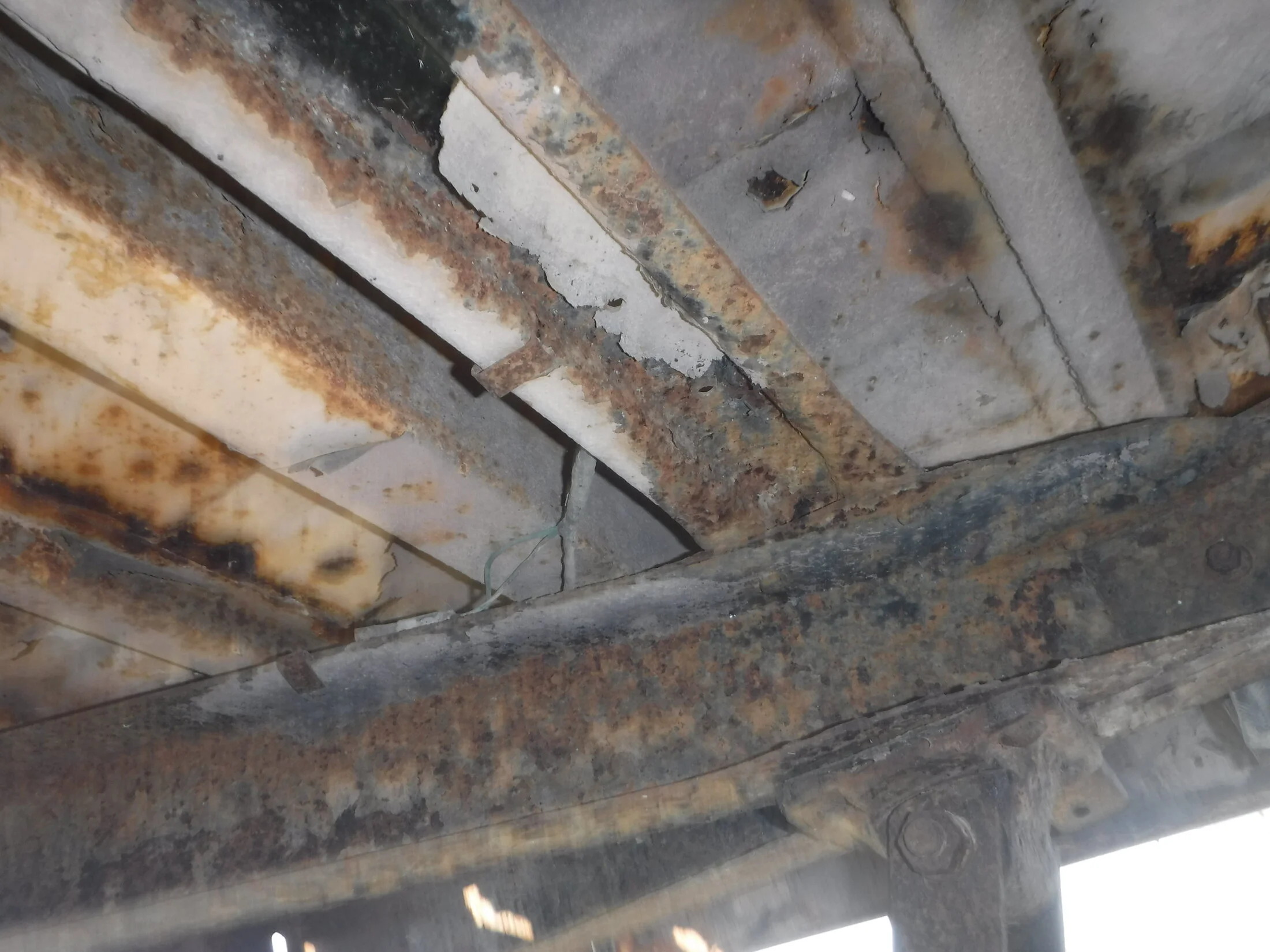 DSCF5875.webp