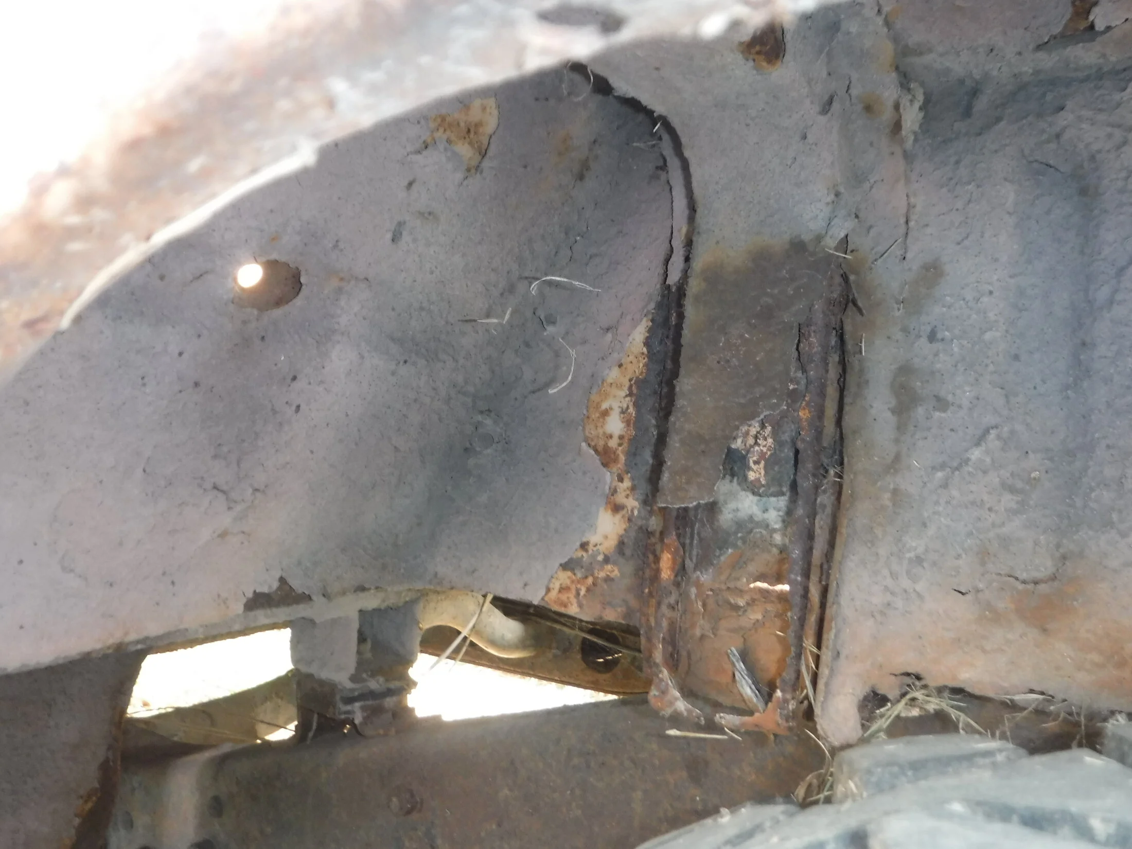 DSCF5876.webp