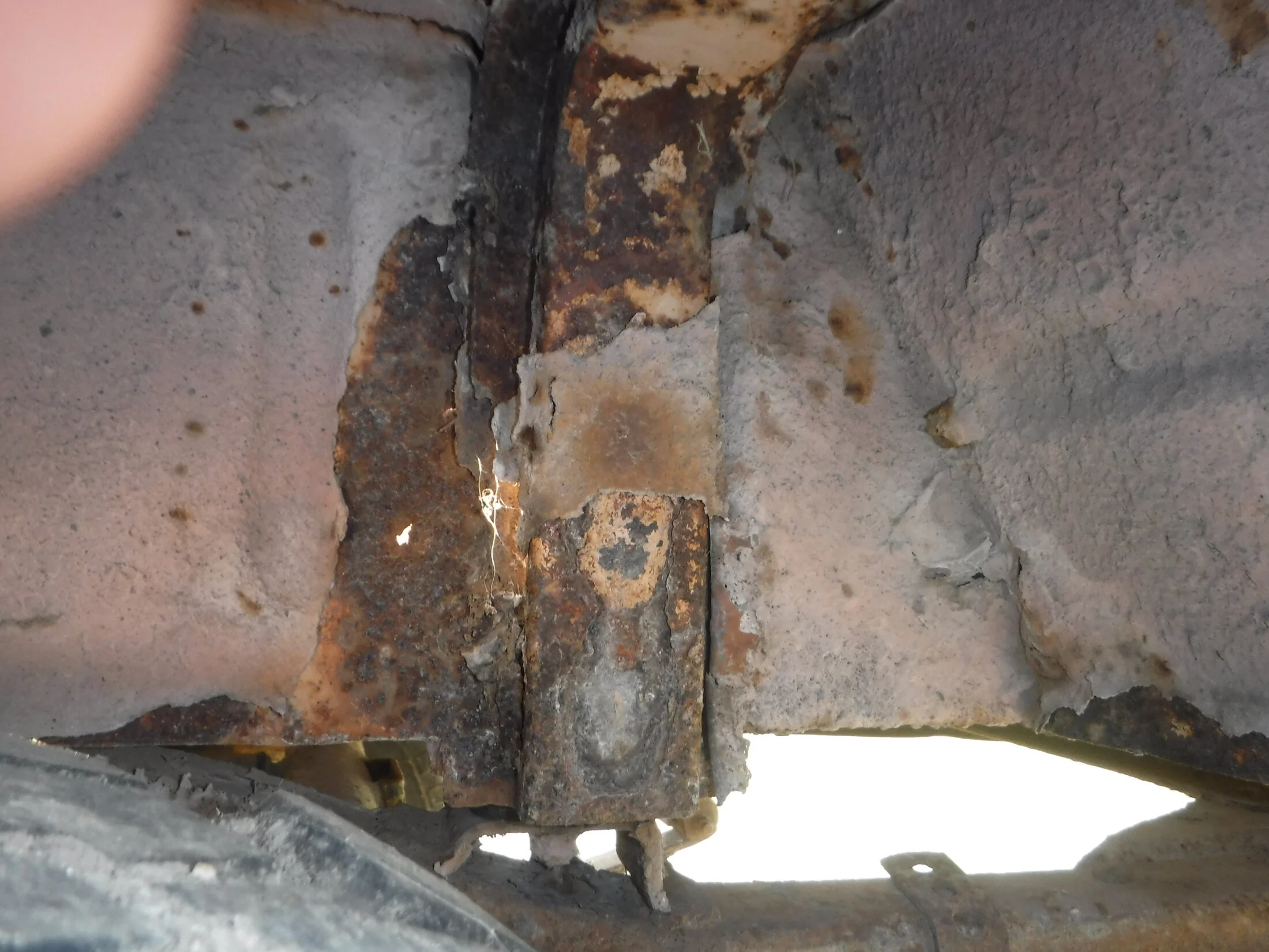 DSCF5877.webp