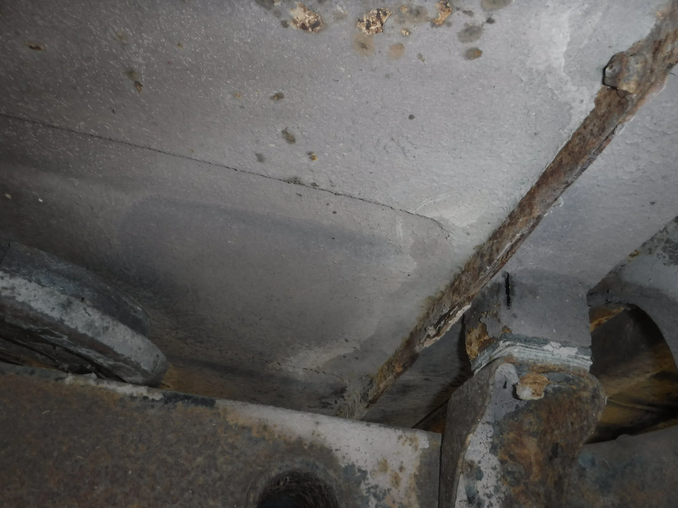 DSCF5879.webp