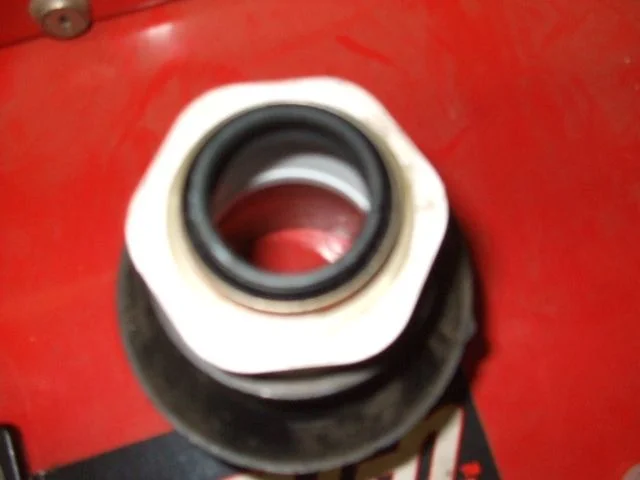 DSCF5911.webp