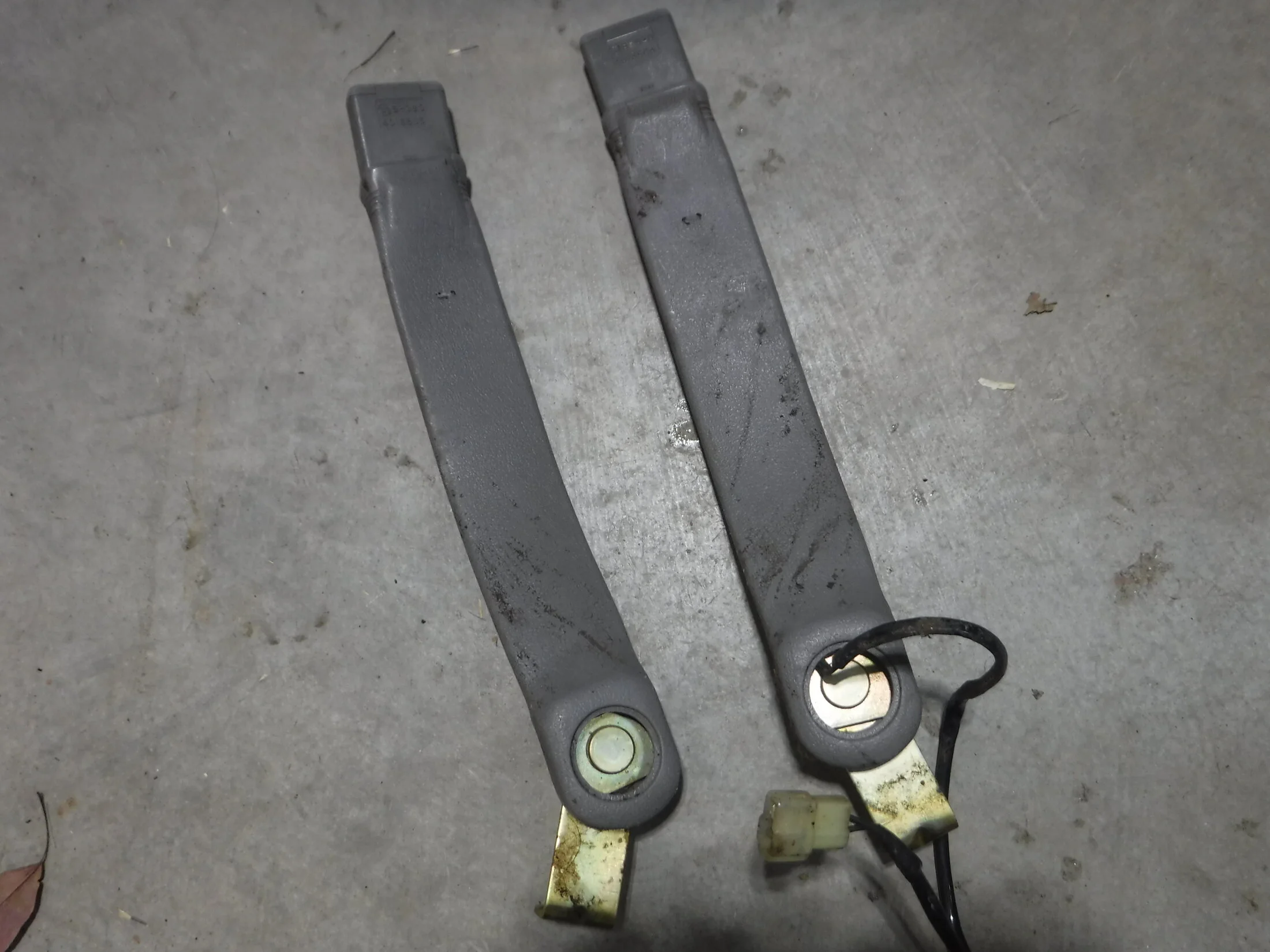 DSCF5945.webp