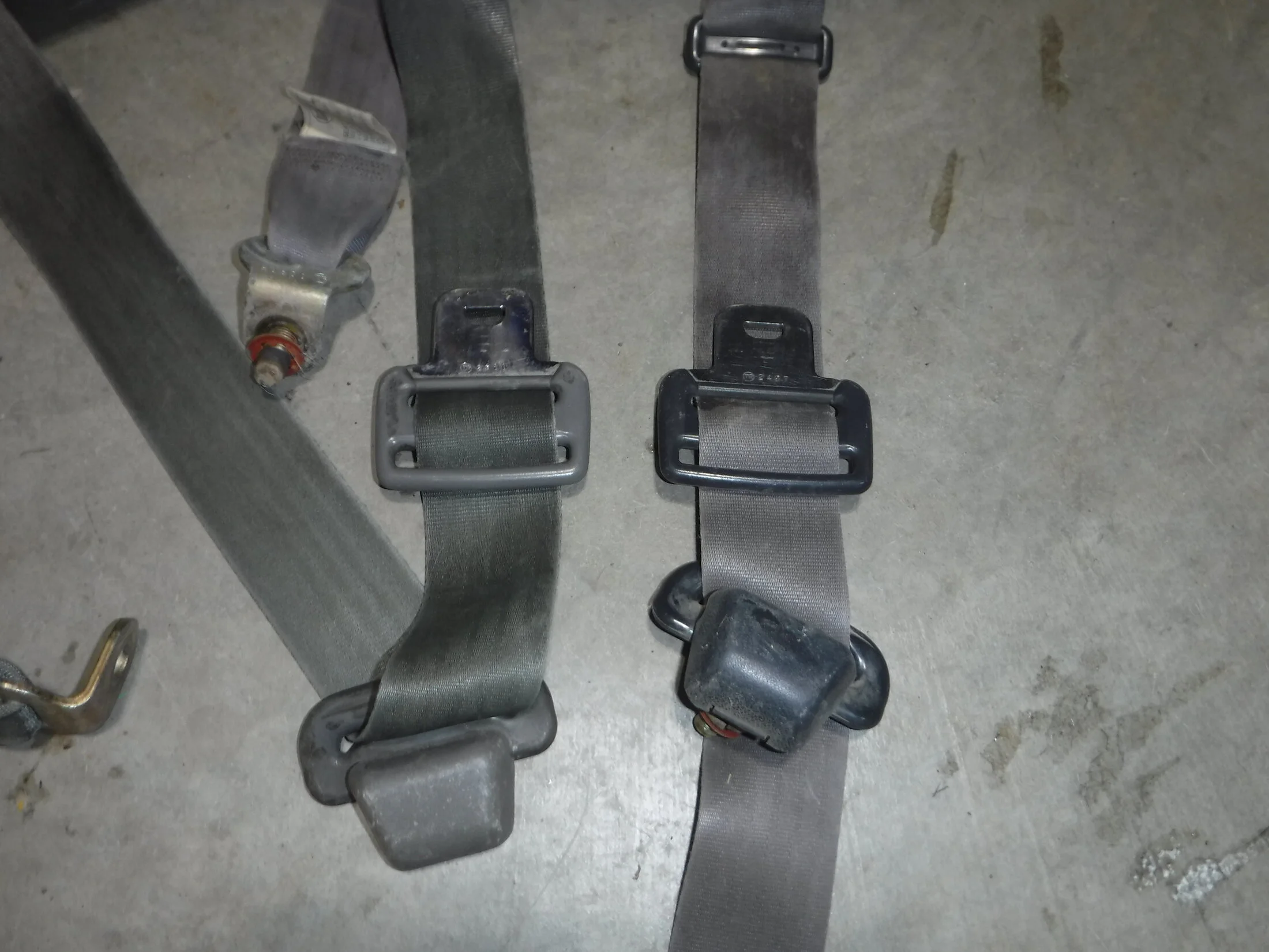 DSCF5953.webp