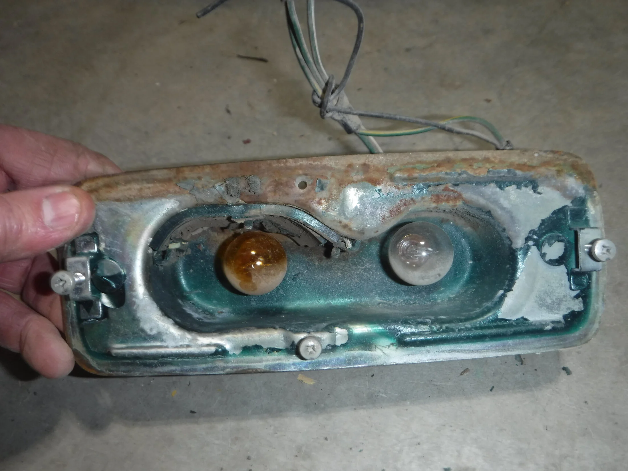 DSCF5961.webp