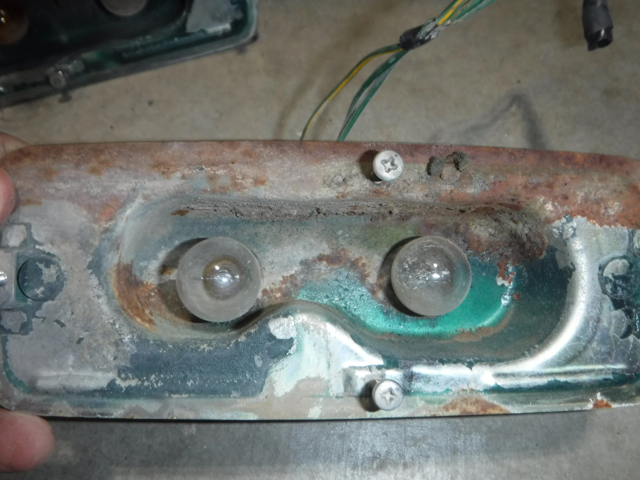 DSCF5962.webp