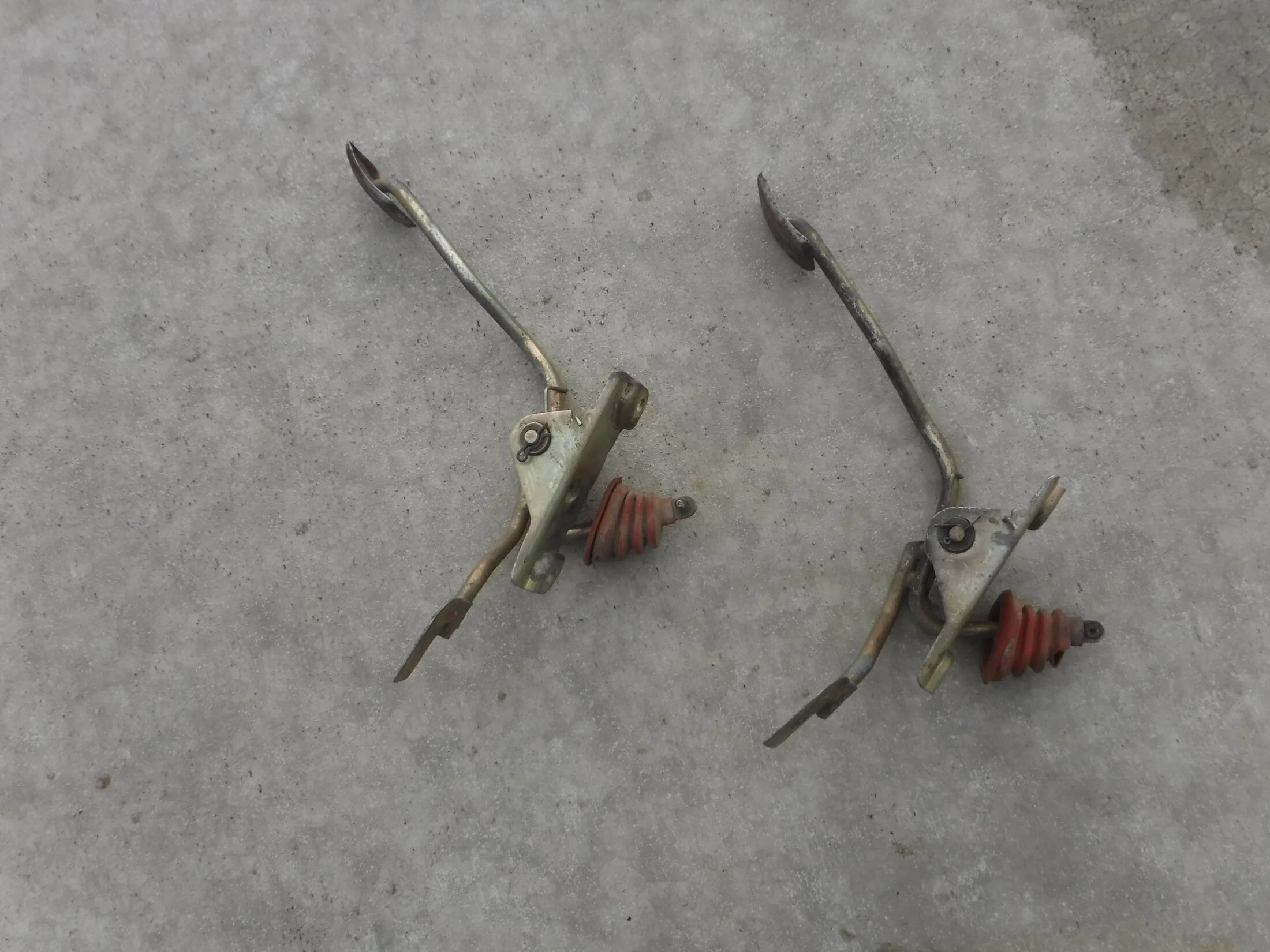 DSCF5993.webp