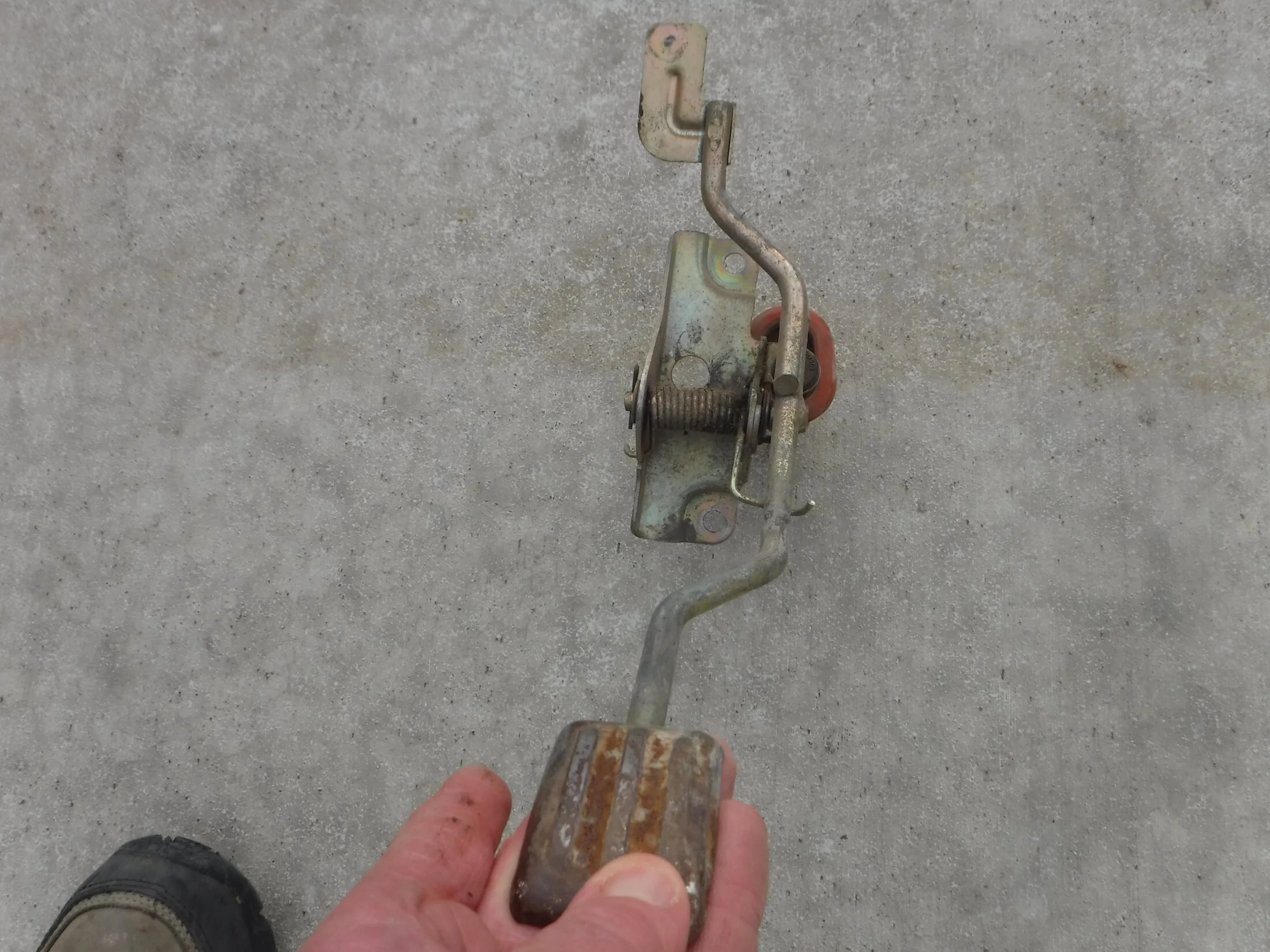 DSCF5994.webp