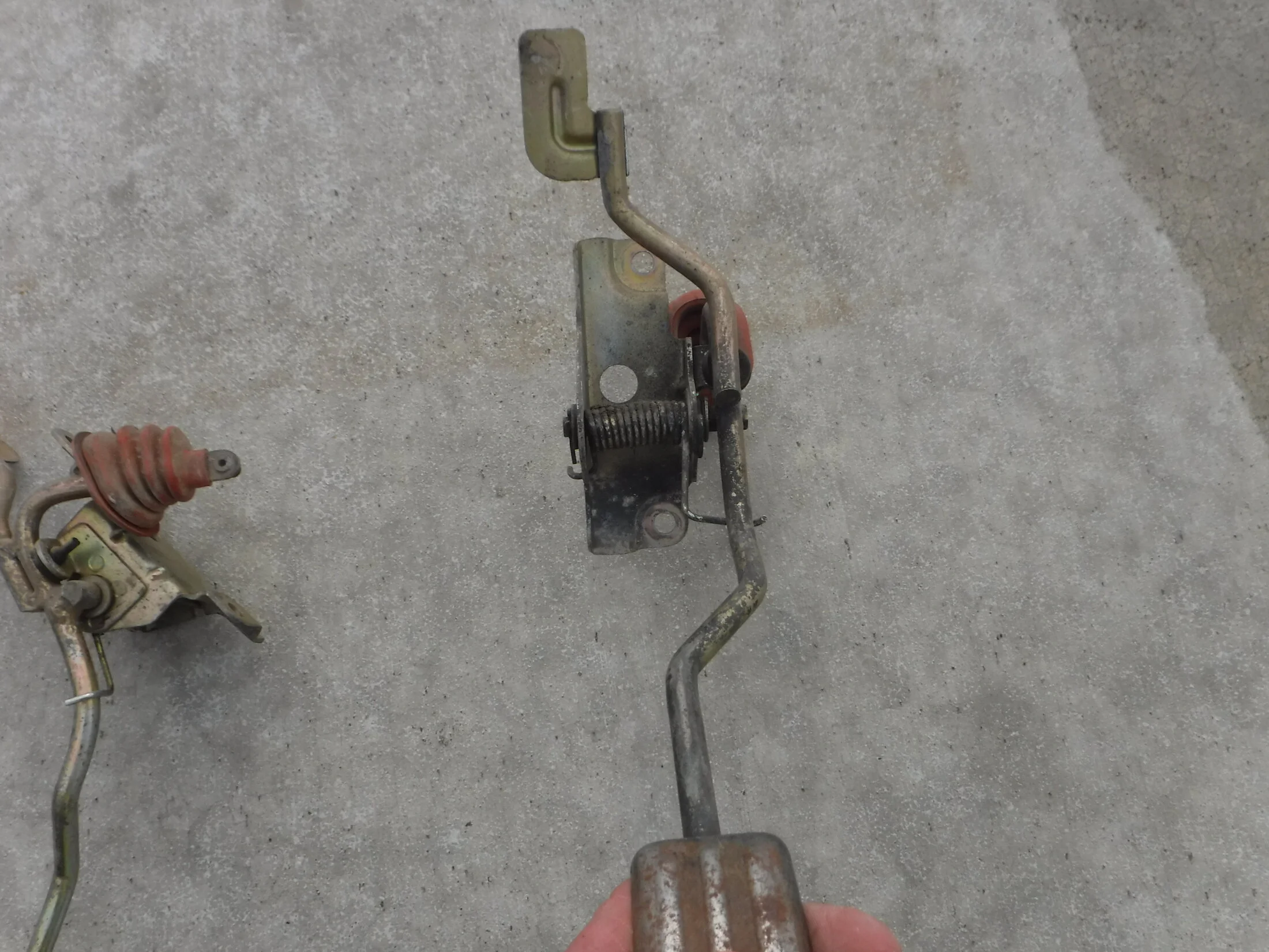 DSCF5995.webp