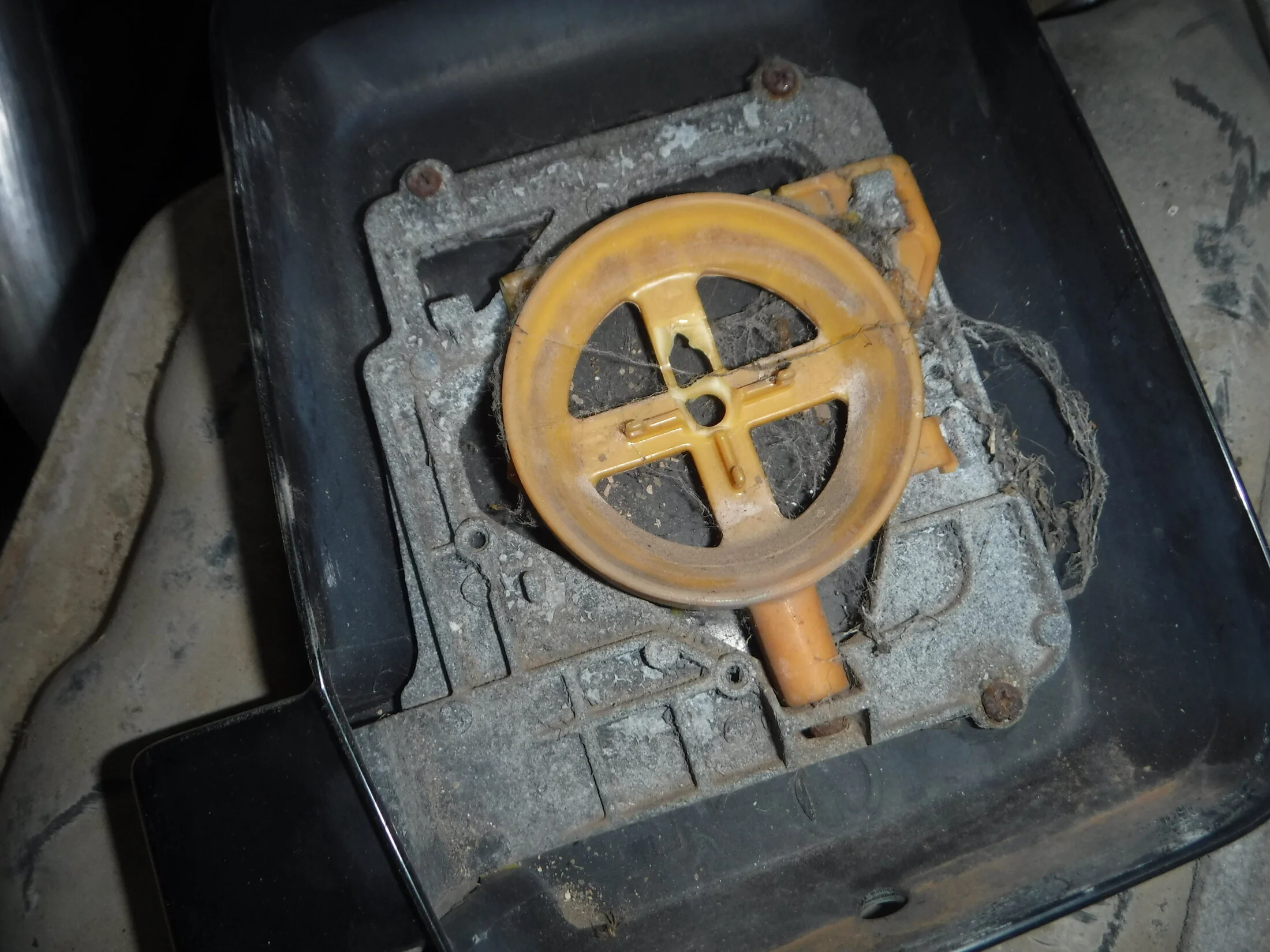 DSCF6118.webp