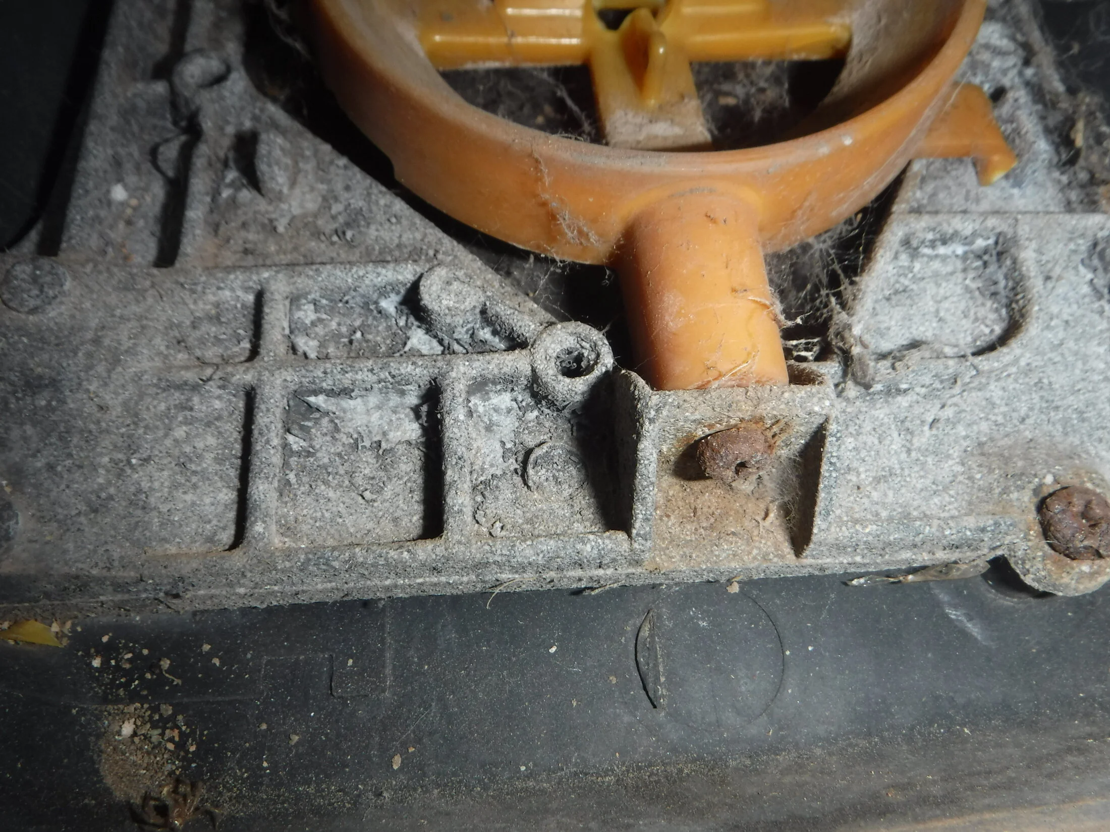 DSCF6119.webp