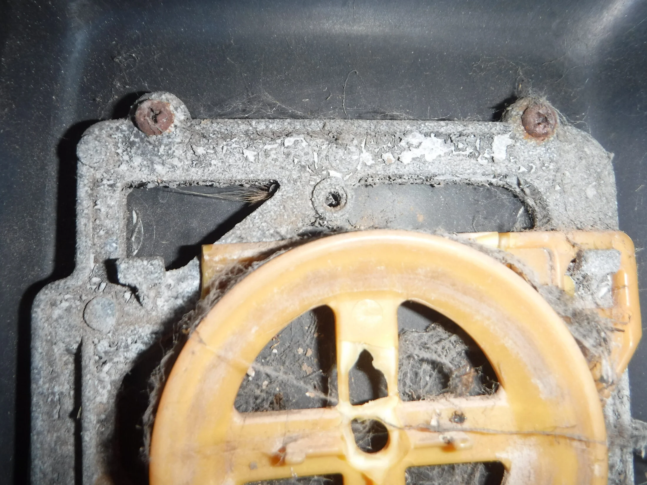 DSCF6120.webp