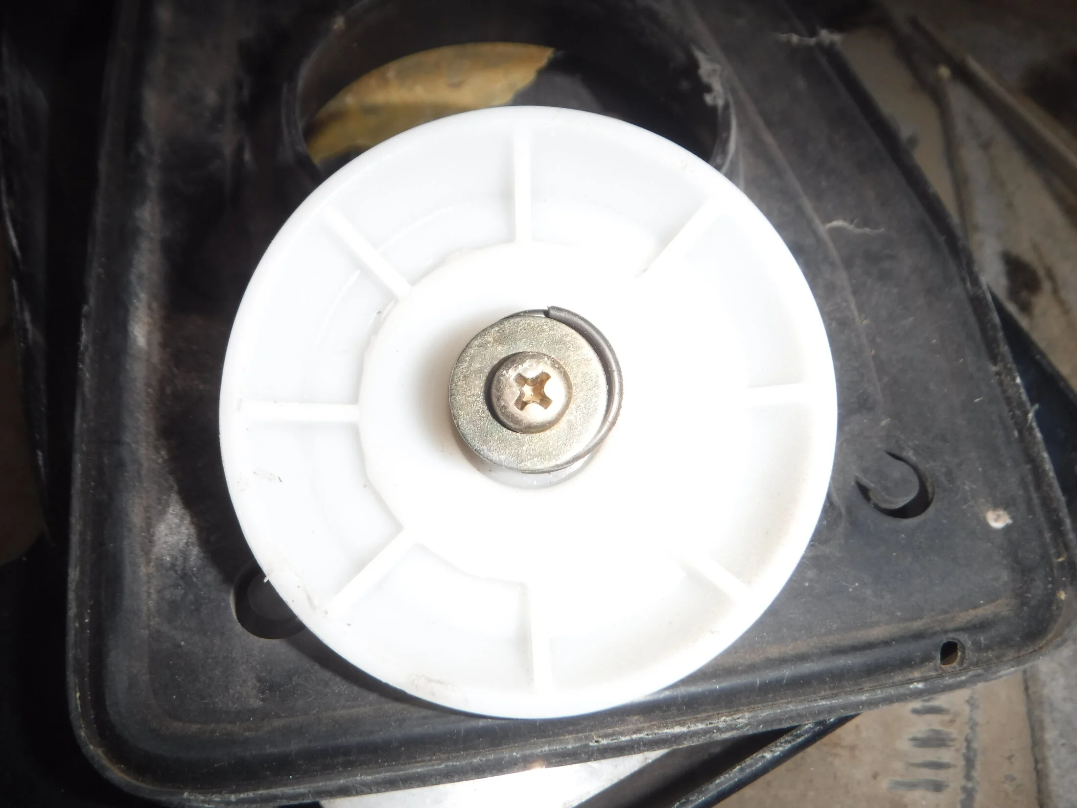 DSCF6123.webp