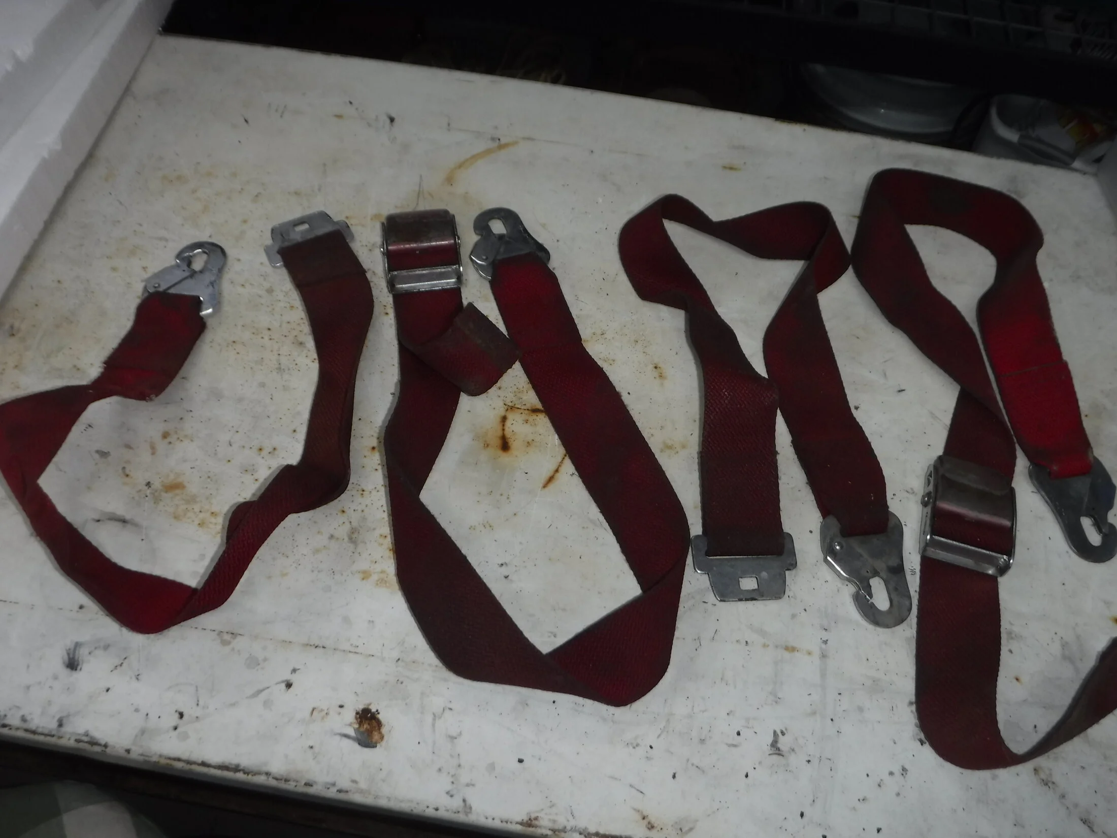 DSCF6162.webp