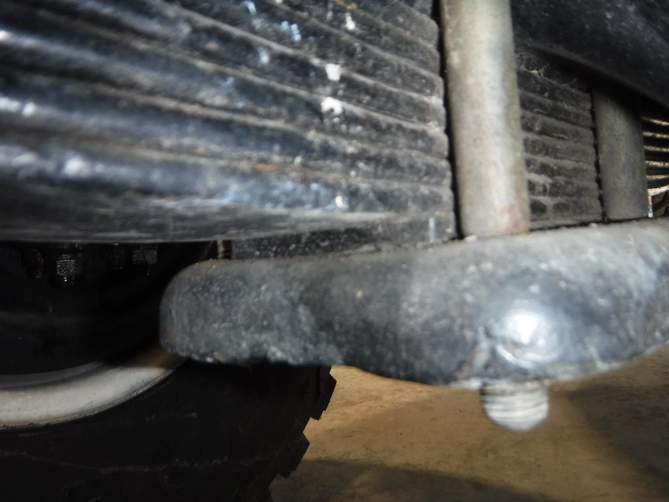 DSCF6242.webp