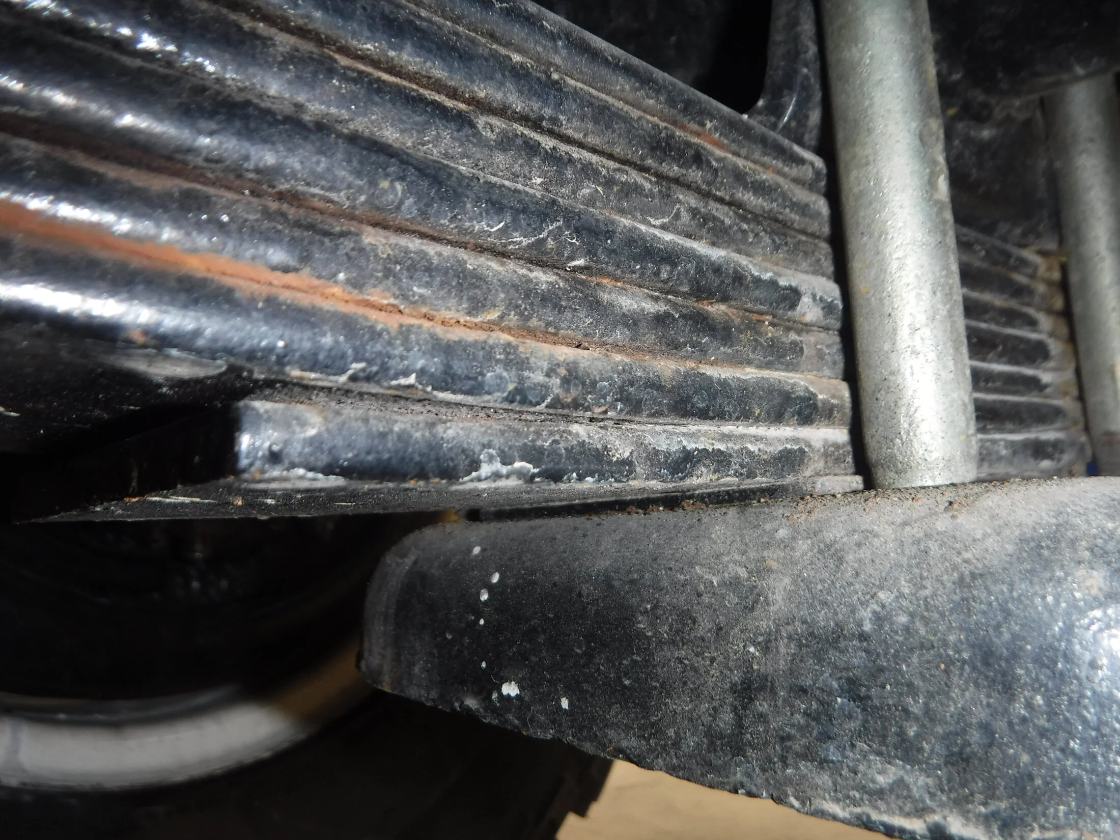 DSCF6244.webp