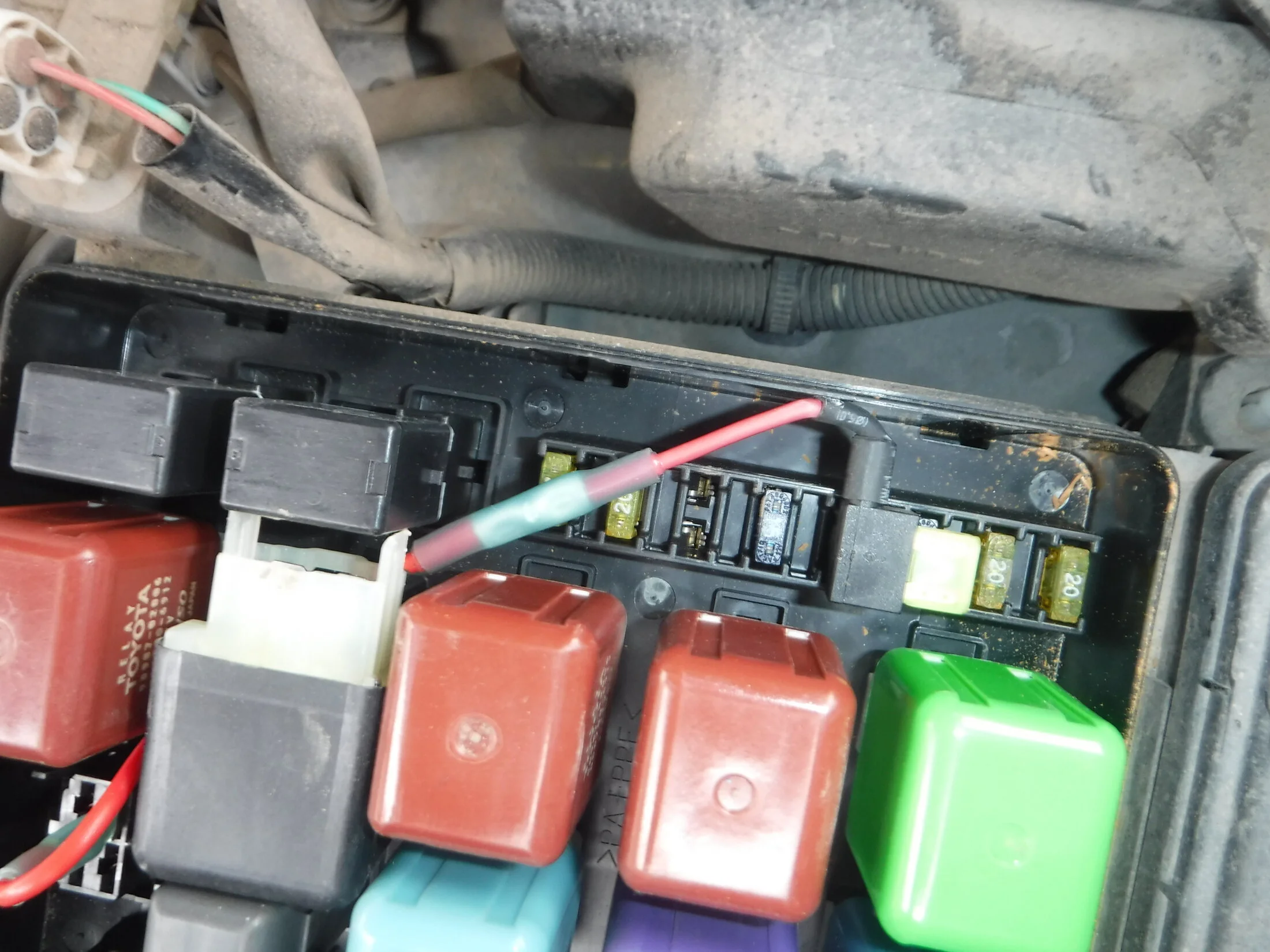 DSCF6249.webp