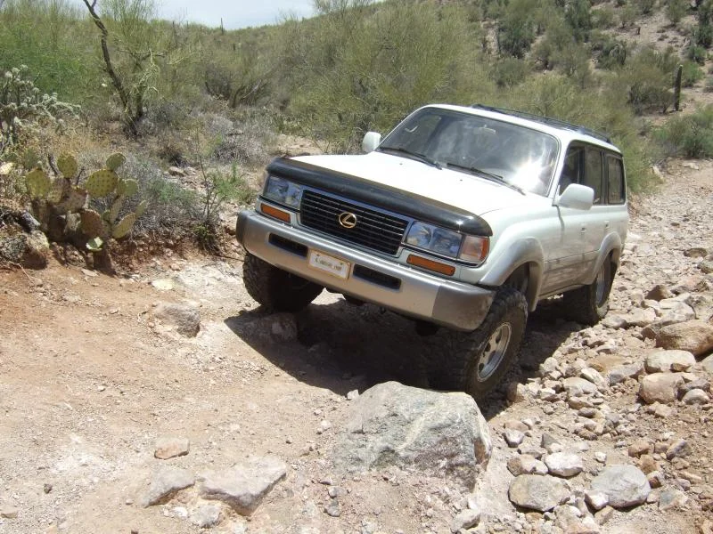 DSCF6323.webp