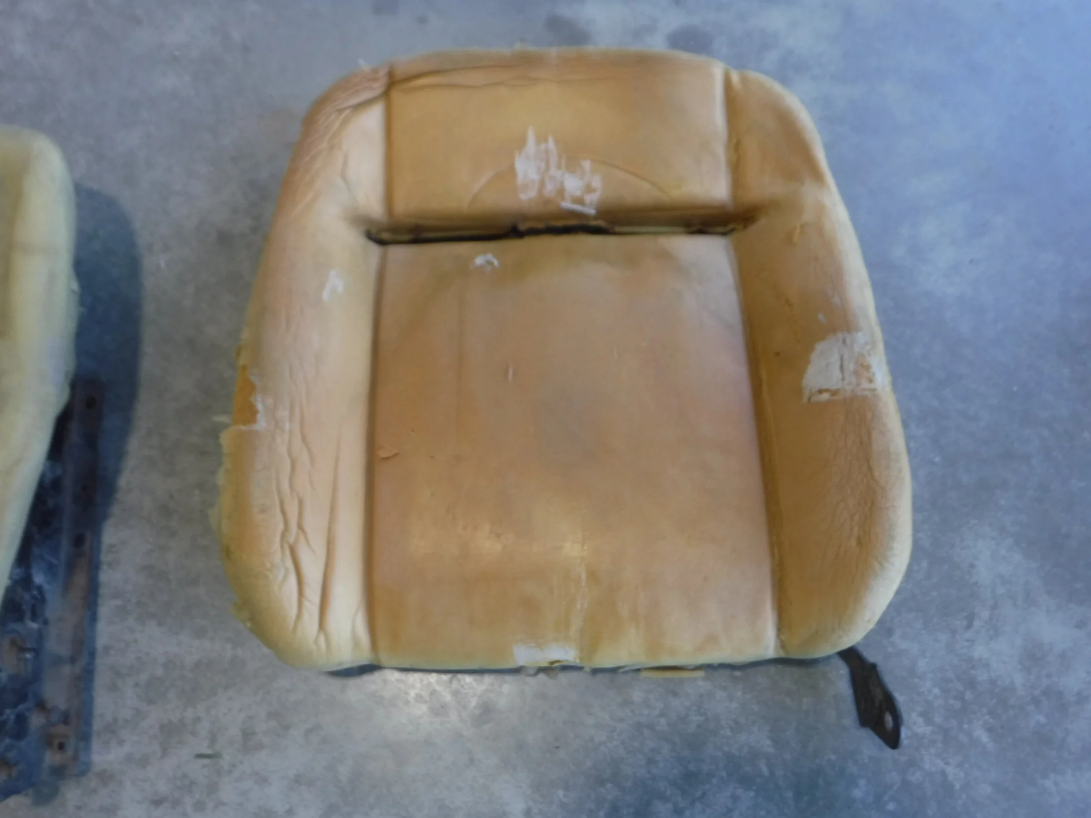 DSCF6379.webp