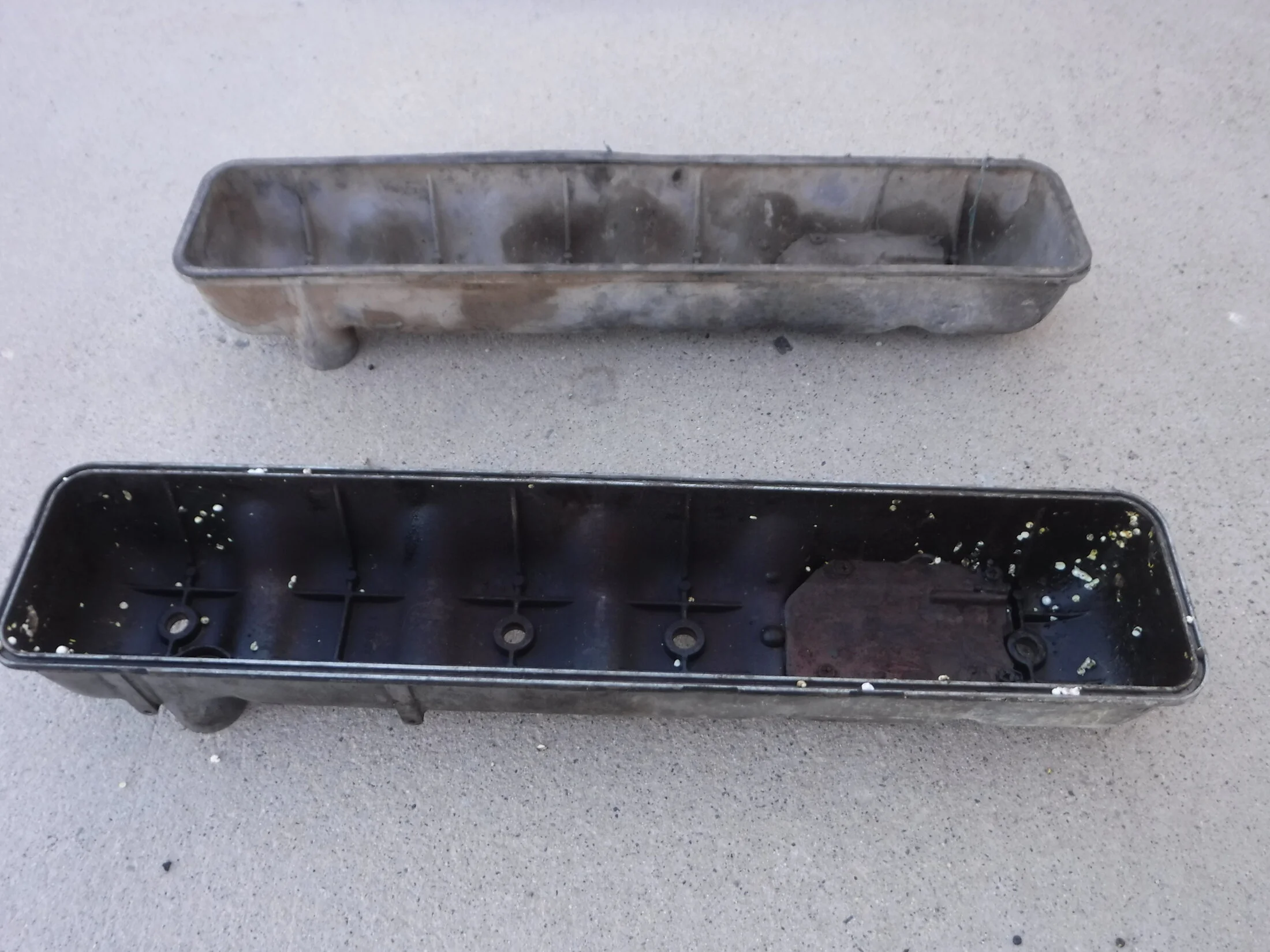 DSCF6390.webp
