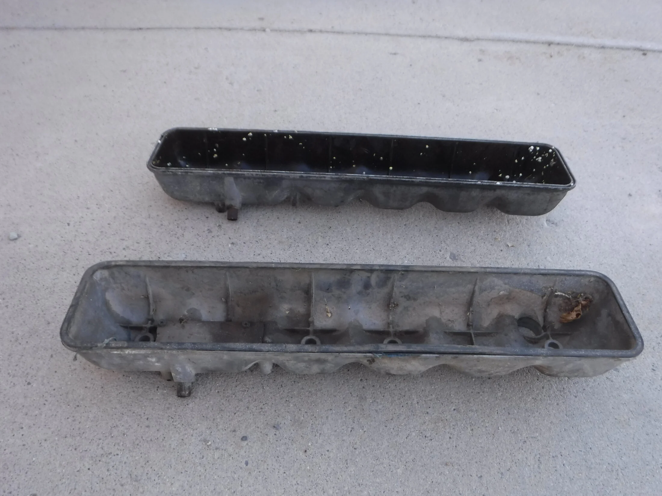 DSCF6391.webp