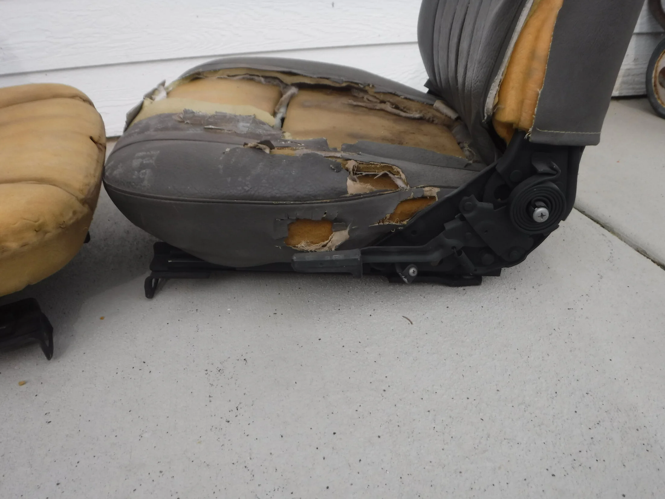 DSCF6428.webp