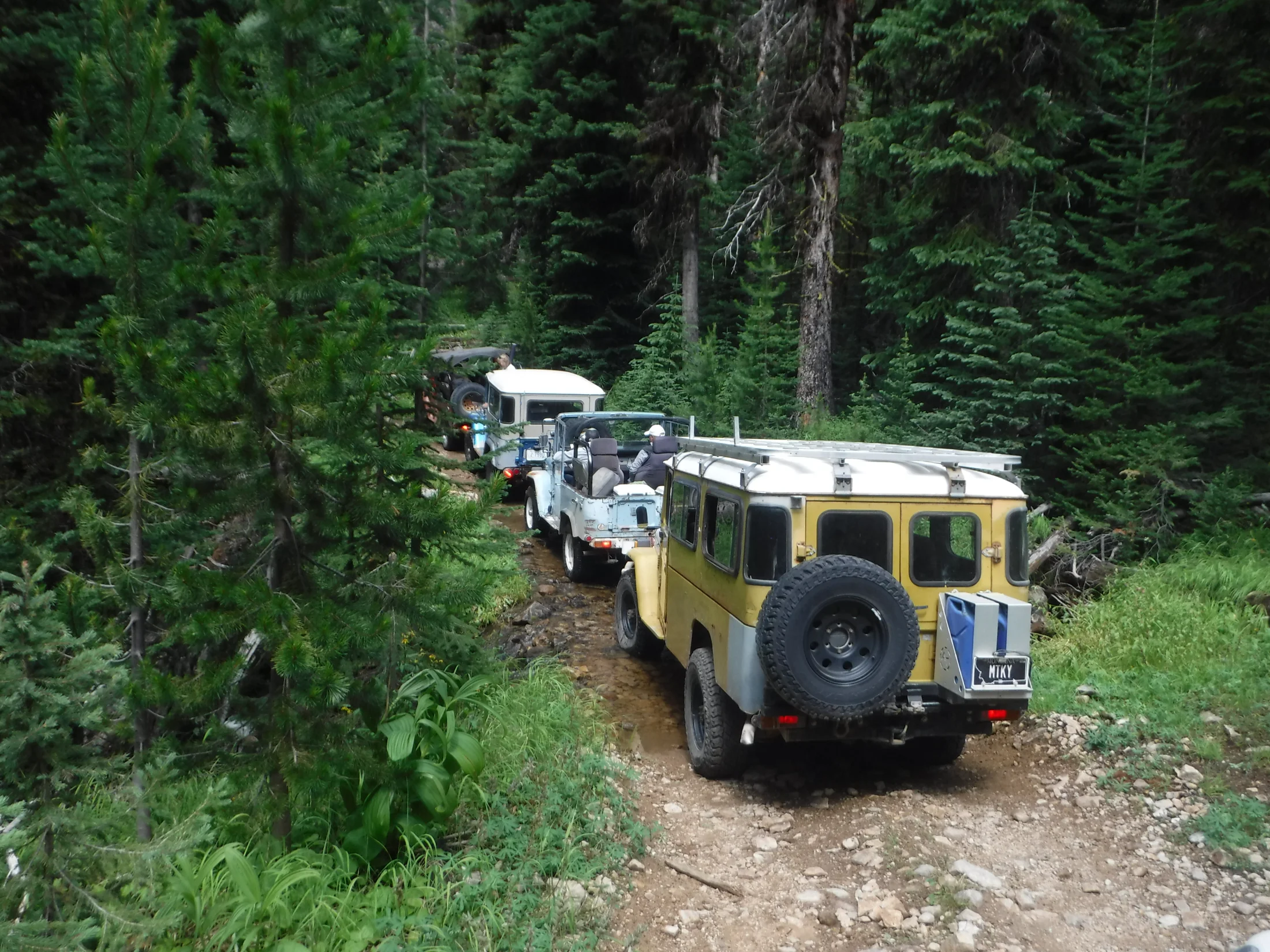 DSCF6488.webp