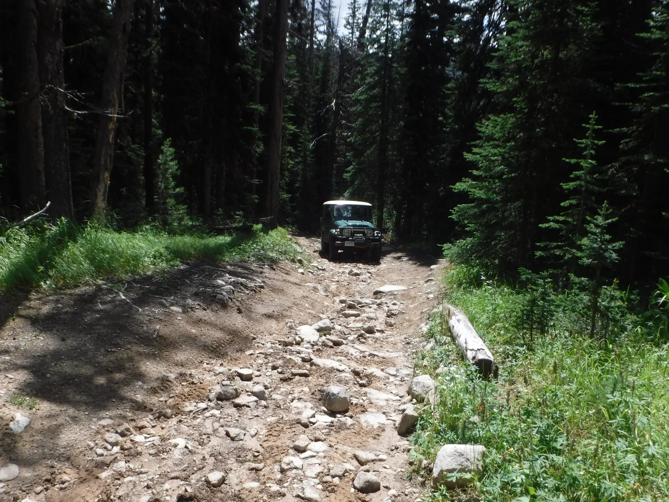DSCF6490.webp
