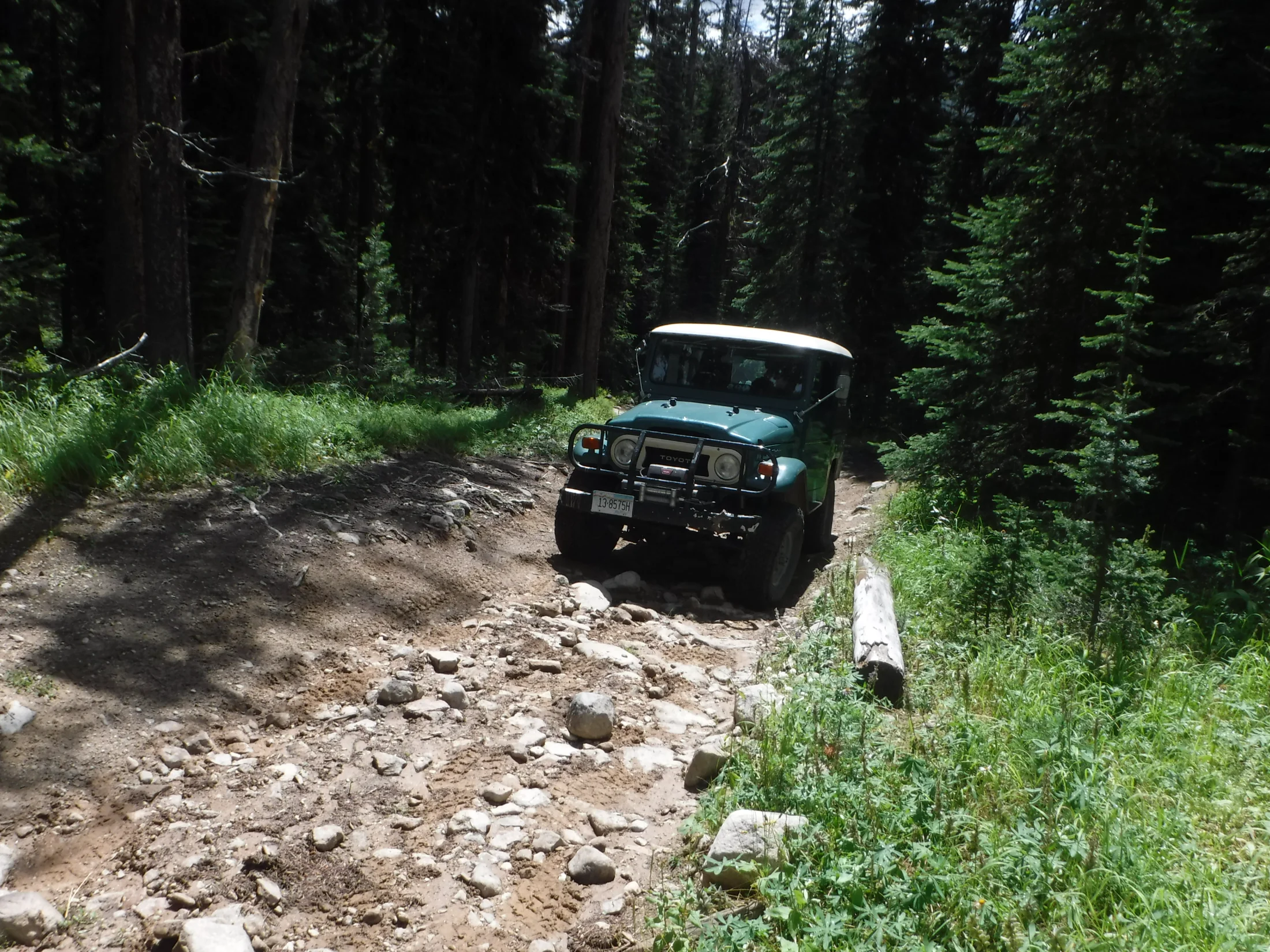 DSCF6491.webp
