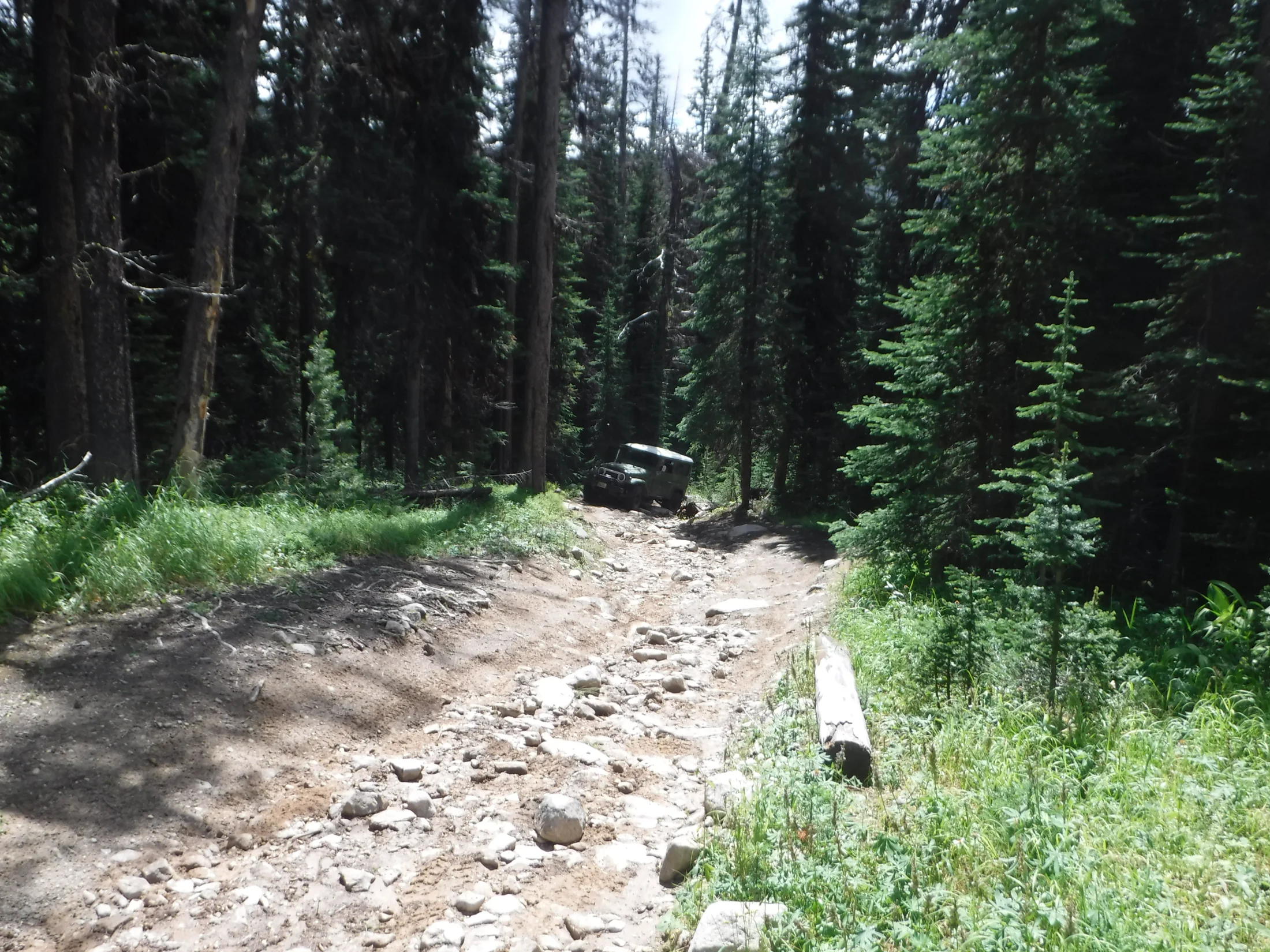 DSCF6492.webp