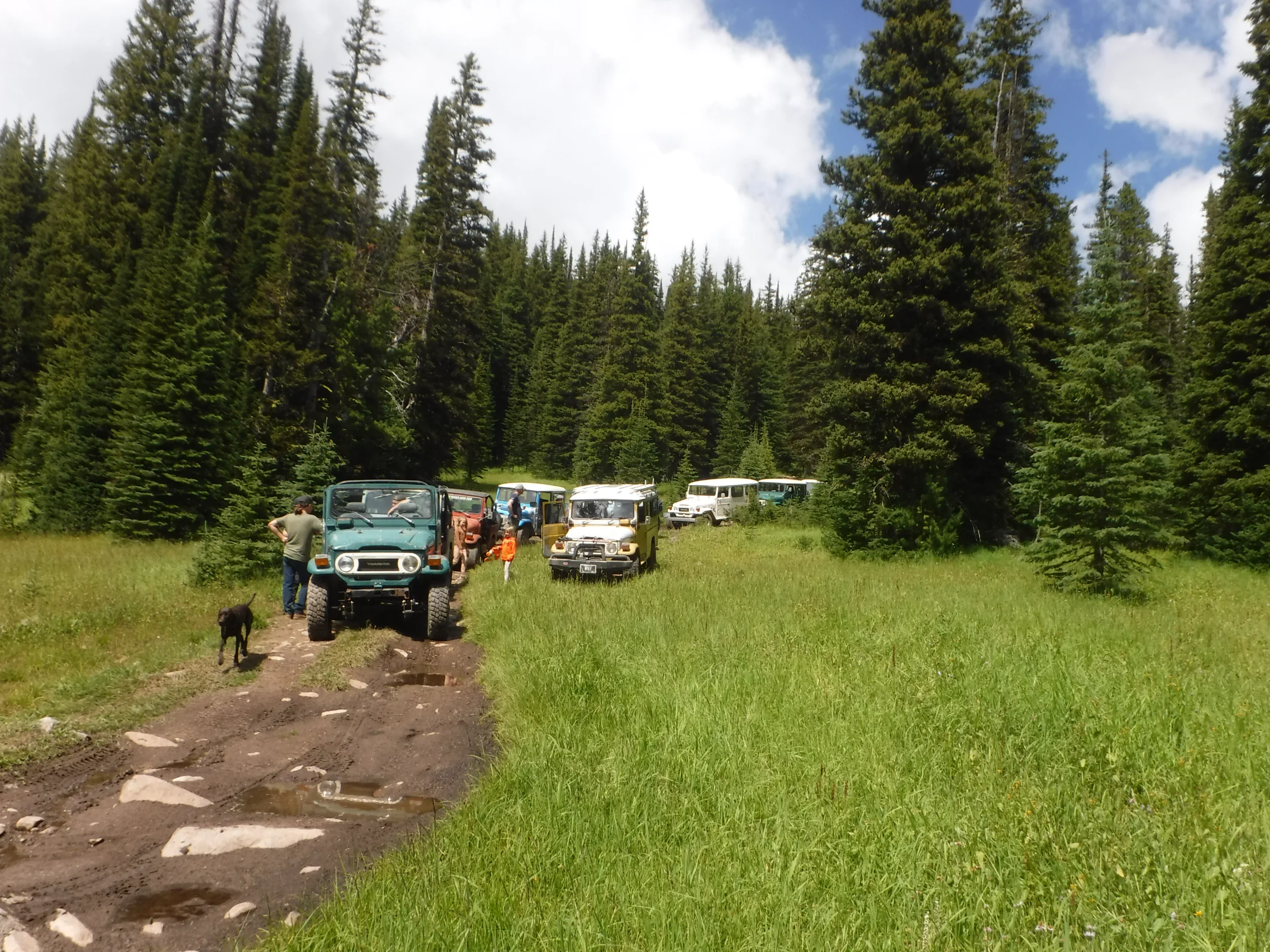 DSCF6496.webp