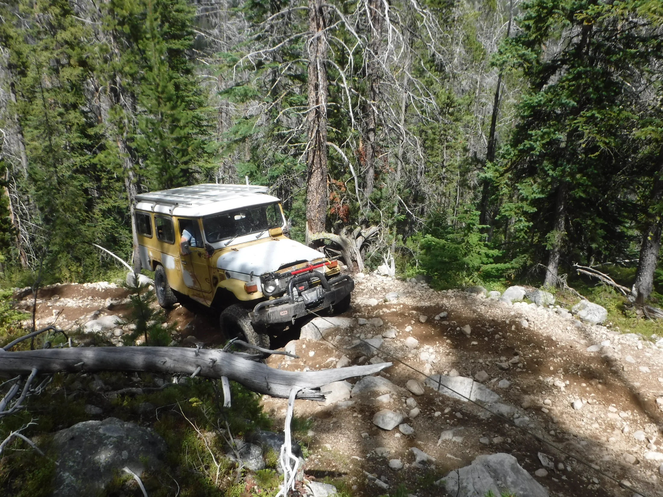 DSCF6497.webp