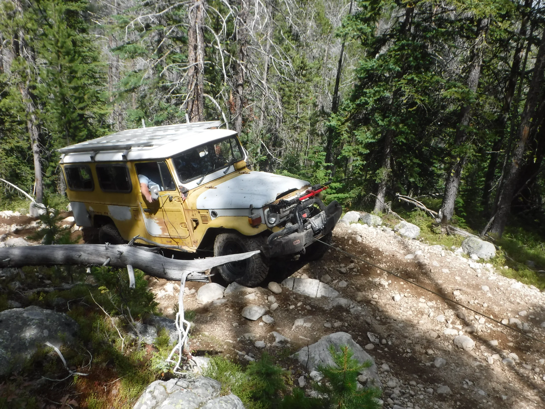 DSCF6498.webp